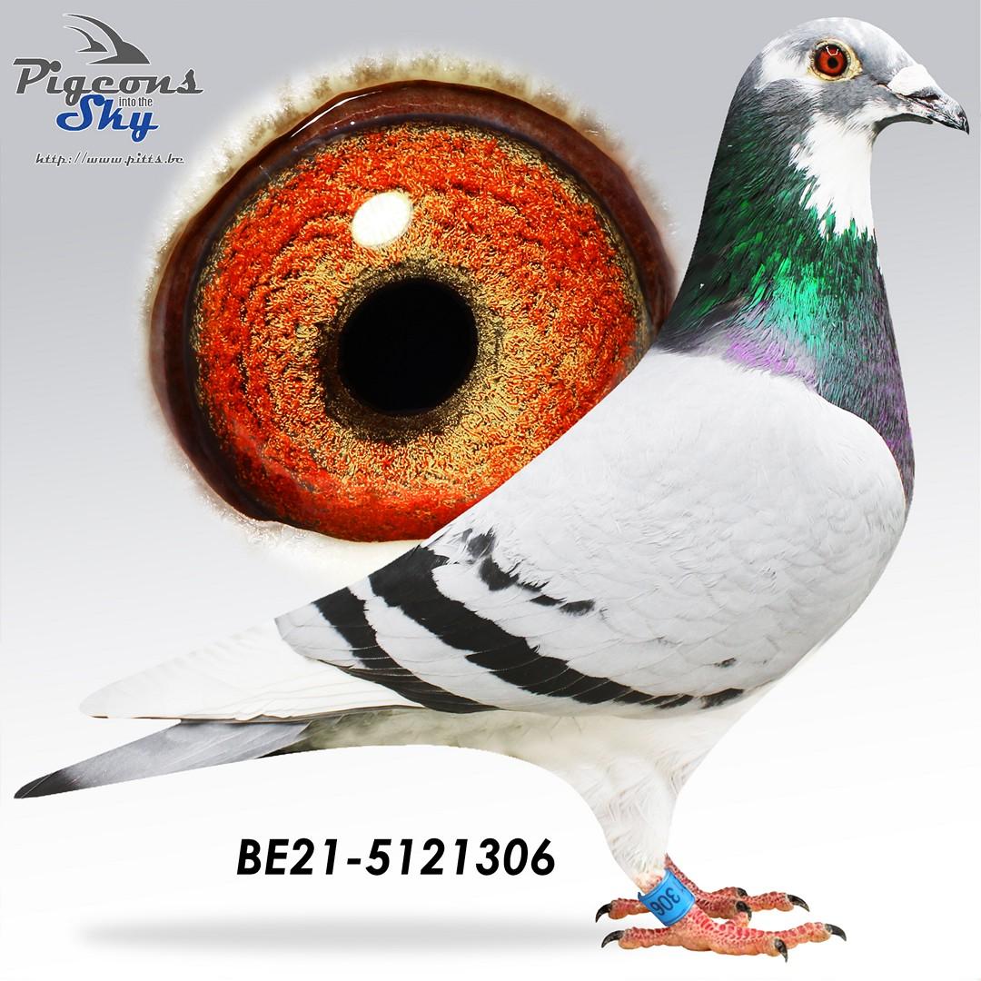 "435" x "454" - Original Peter Stakenborg