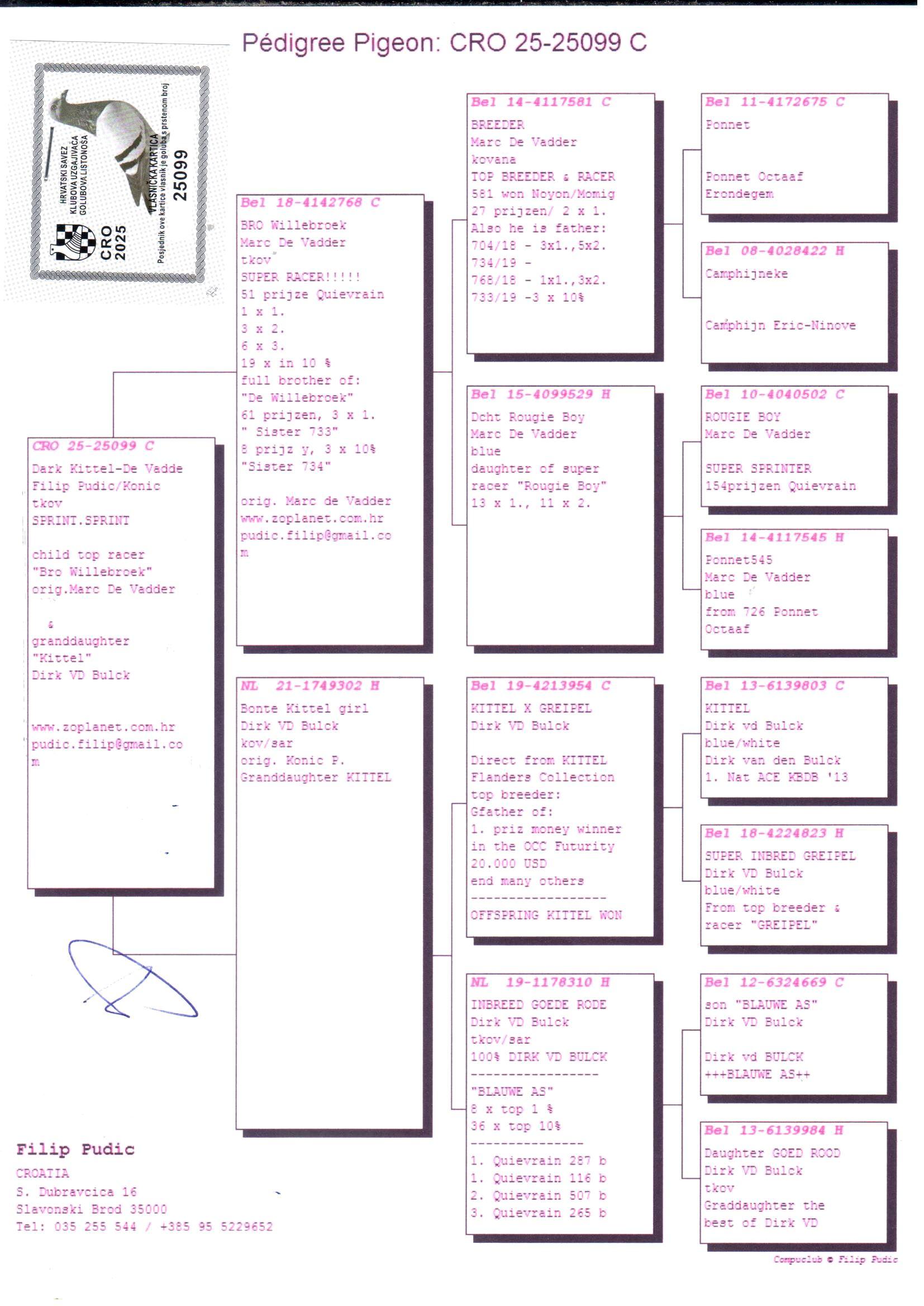 pedigree Marc De Vadder x “Kittel” (Dirk Van Den Bulck)