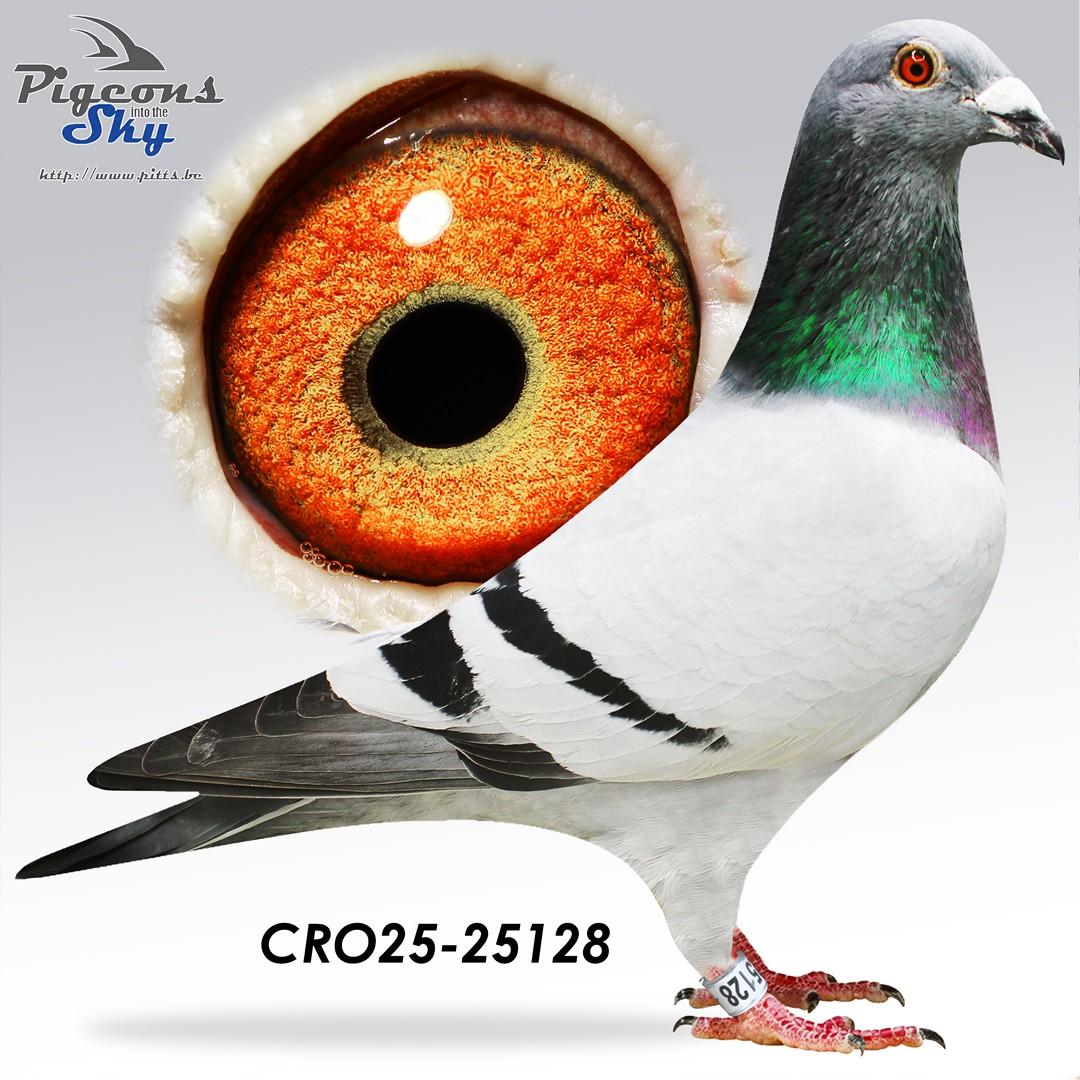 Kleinzoon “Super 741” 7 x 1. (100% Marc De Vadder)