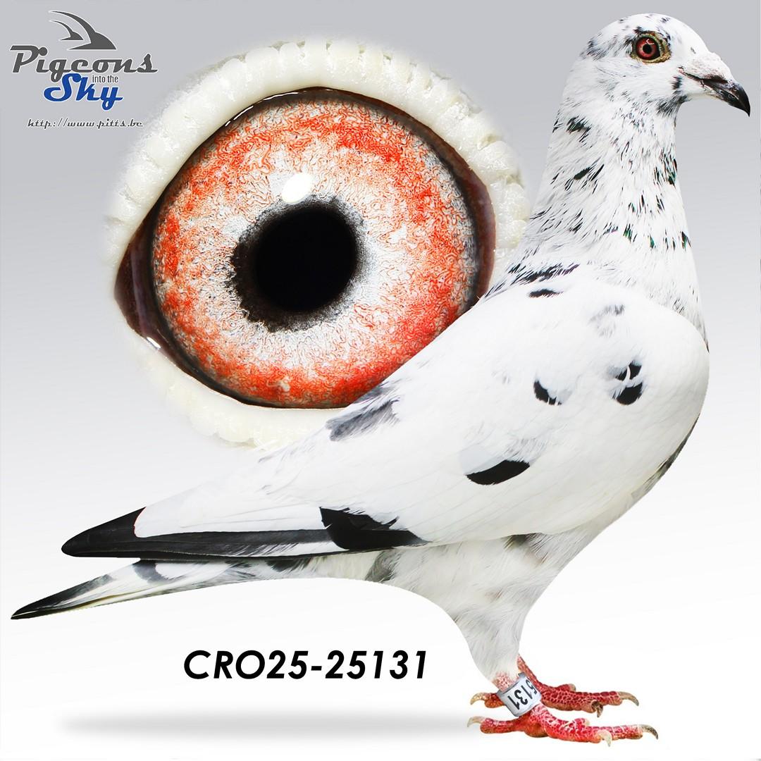 Gebr Van Den Brande x Marc De Vadder