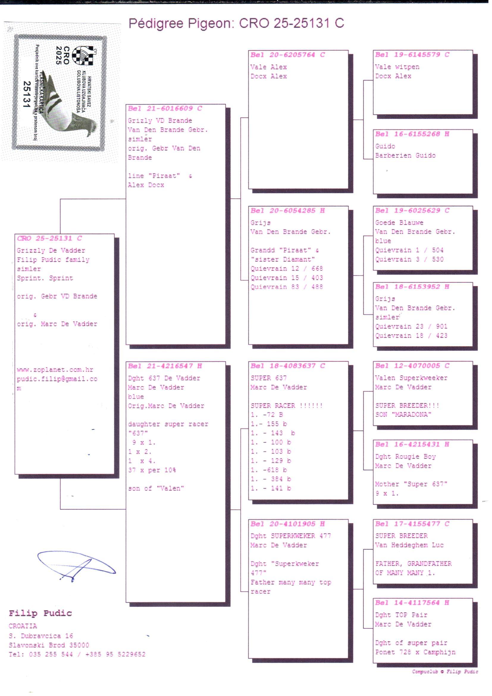 pedigree Gebr Van Den Brande x Marc De Vadder