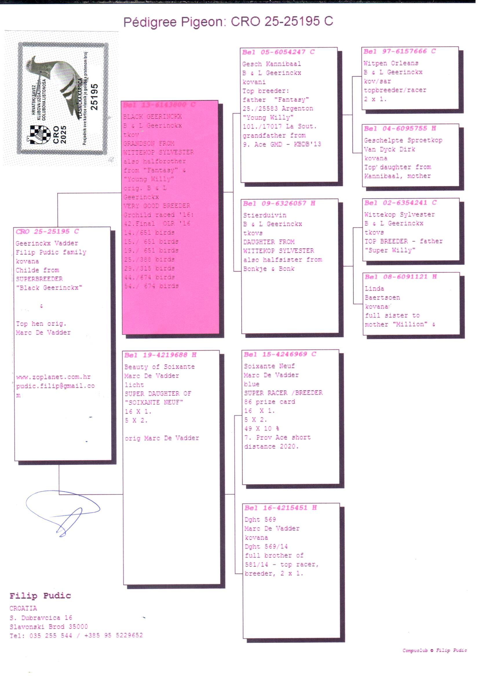 pedigree B & L Geerinckx x Marc De Vadder