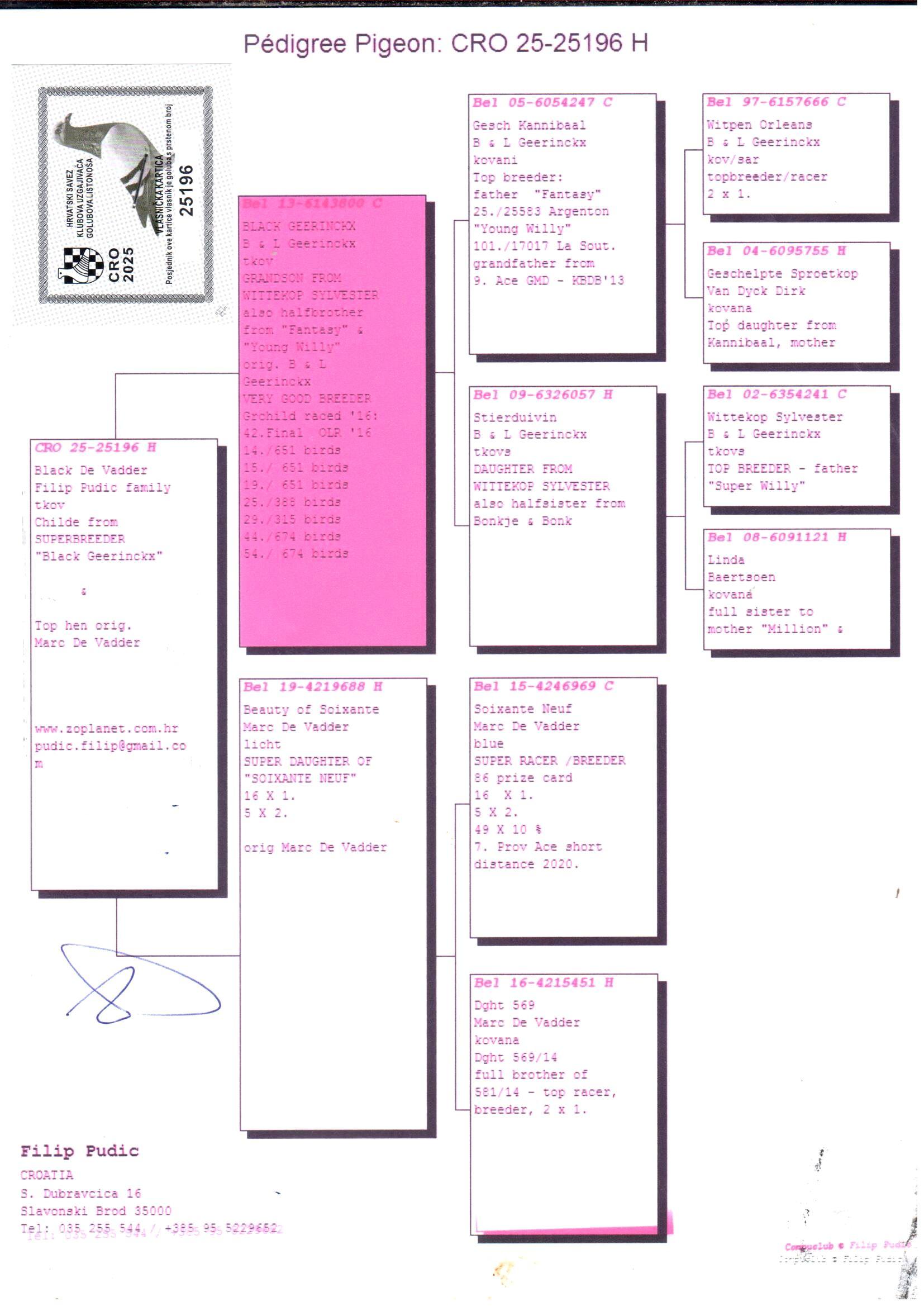 pedigree B & L Geerinckx x Marc De Vadder