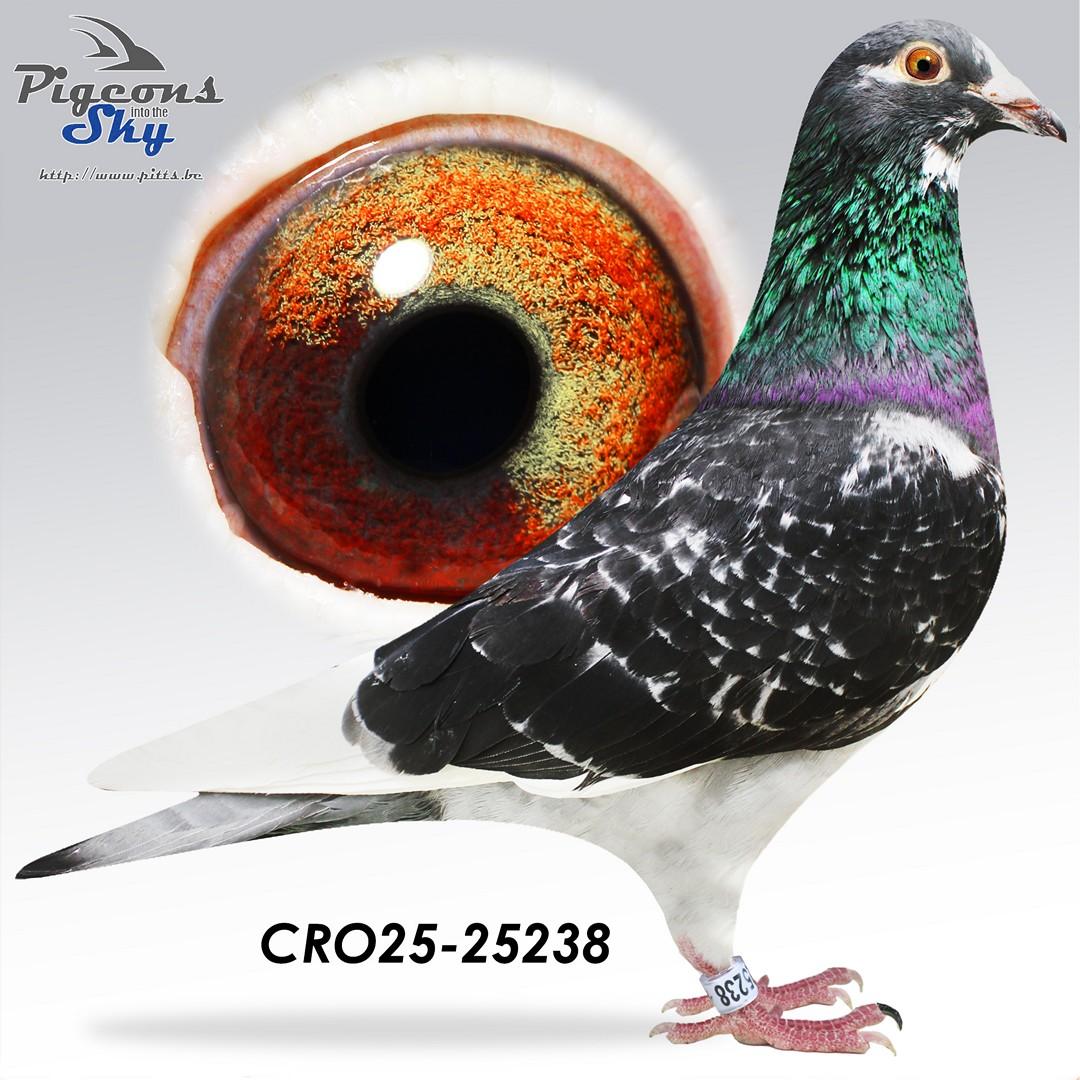 Marc De Vadder x Geert Lambrecht