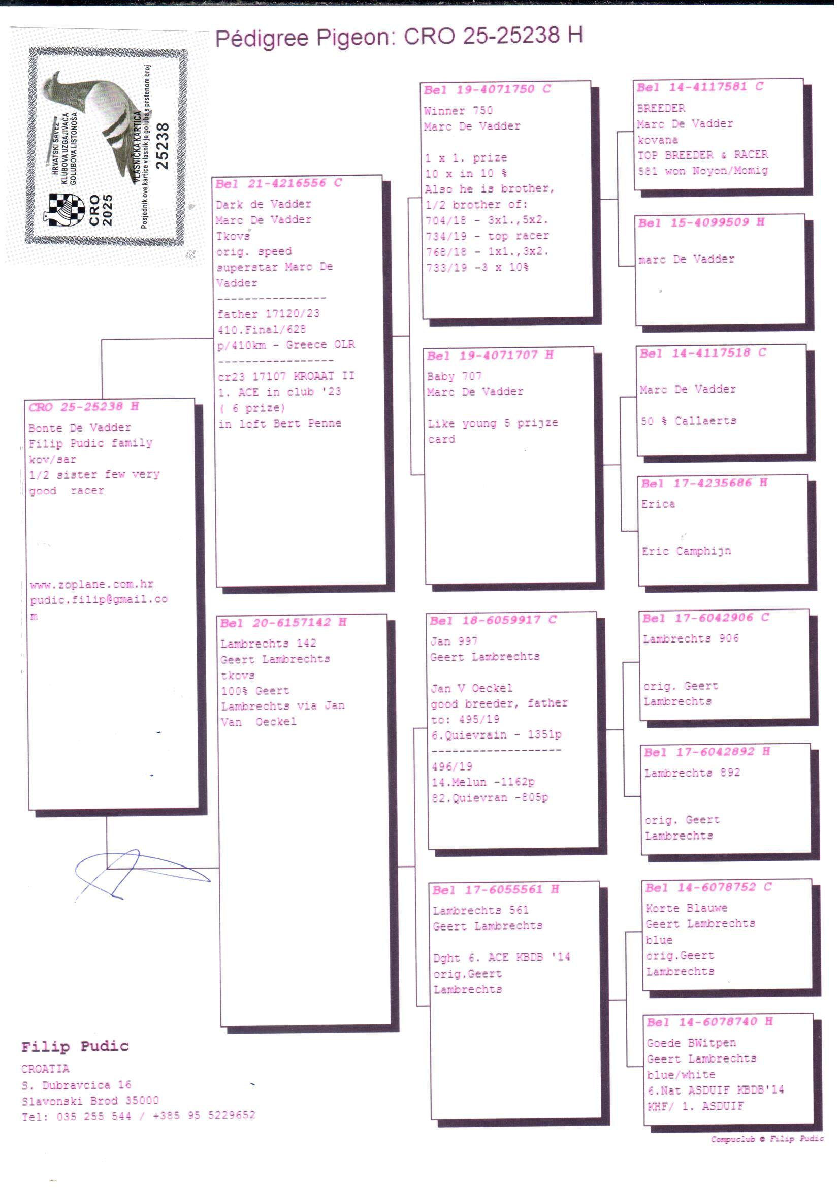 pedigree Marc De Vadder x Geert Lambrecht