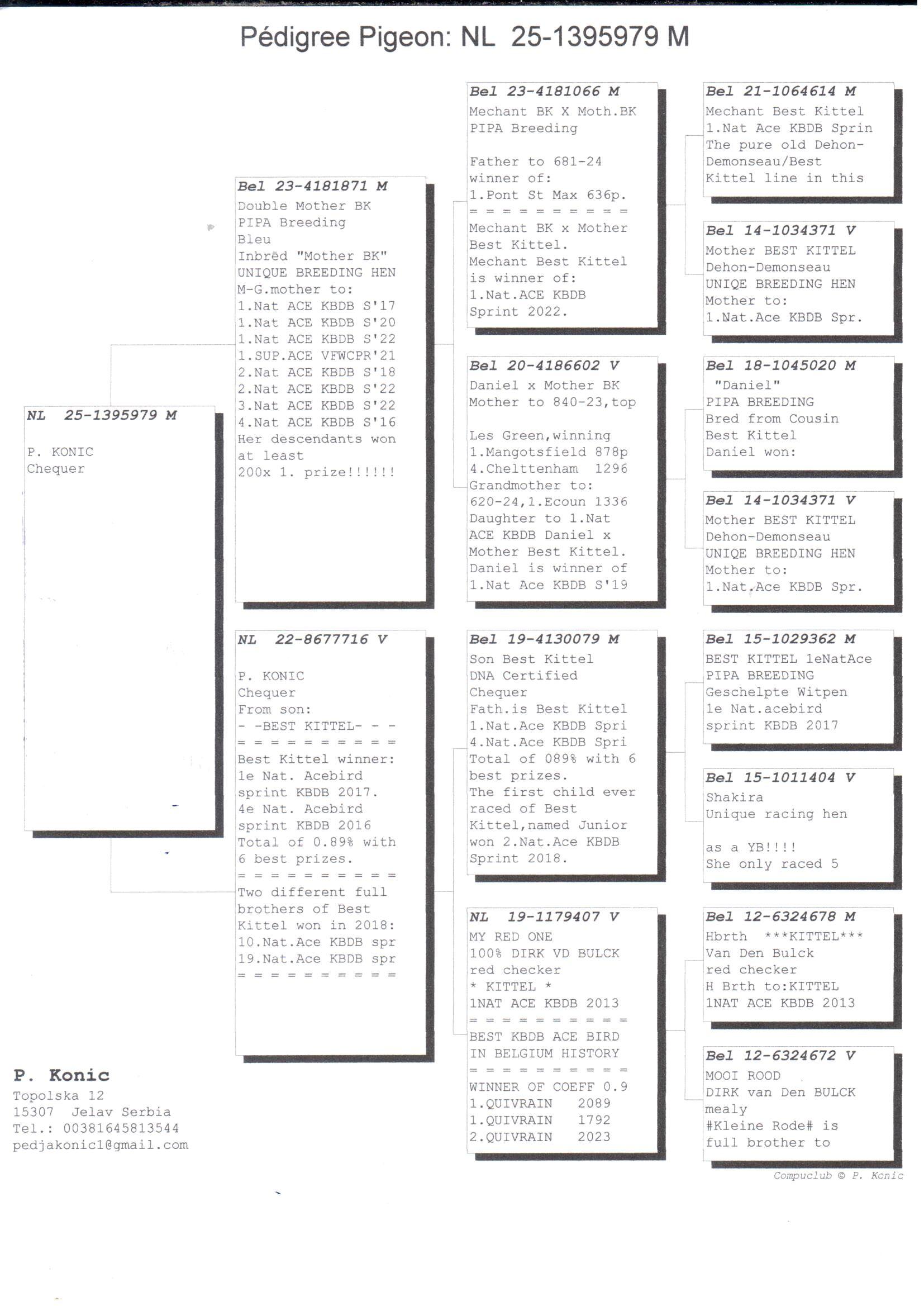 pedigree Inteelt “Best Kittel” - Original P. Konic