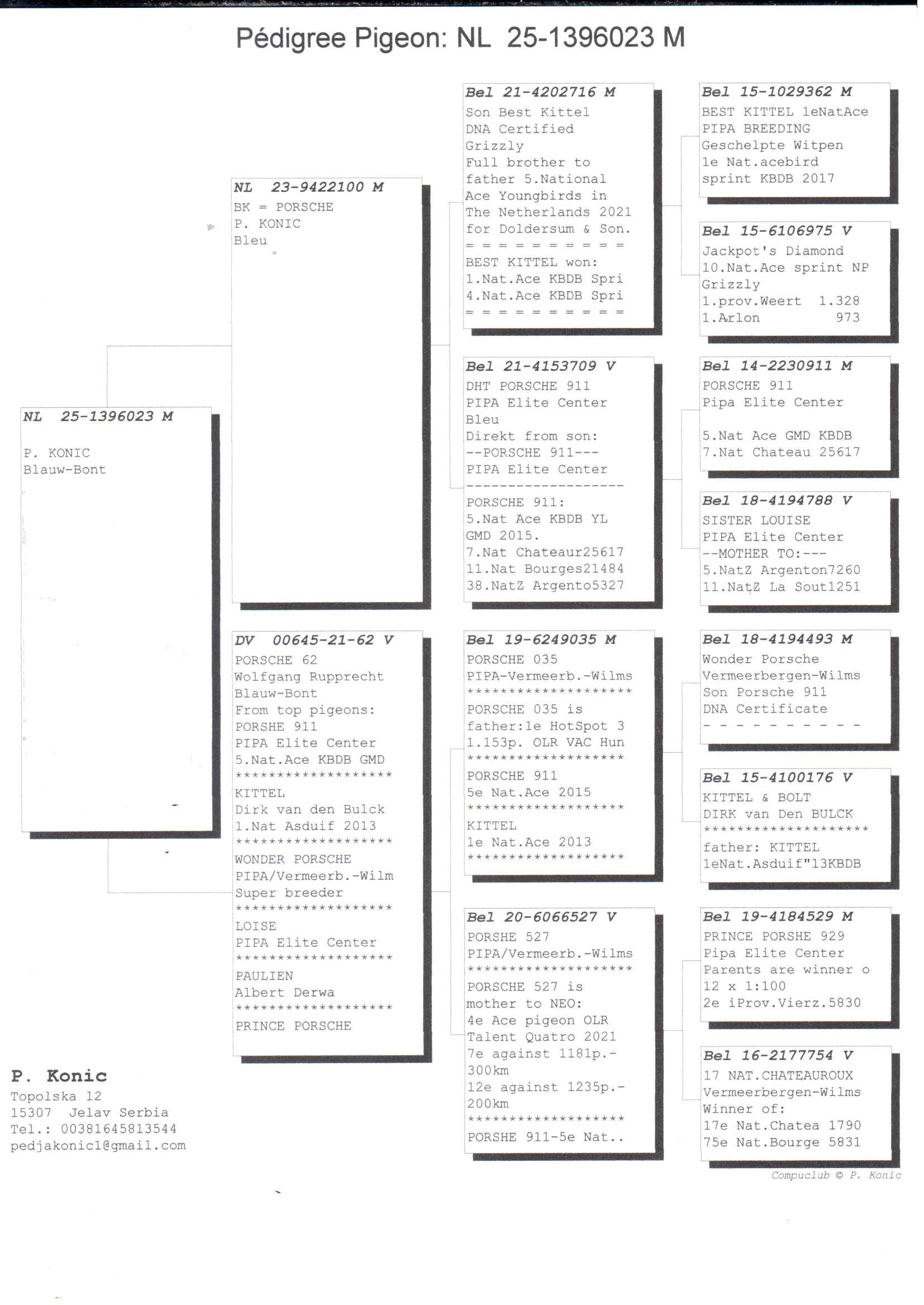 pedigree Kittel x Porsche 911 - Original P. Konic