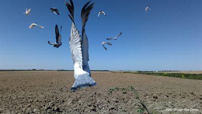 266726-dsc_0167-croppedxs