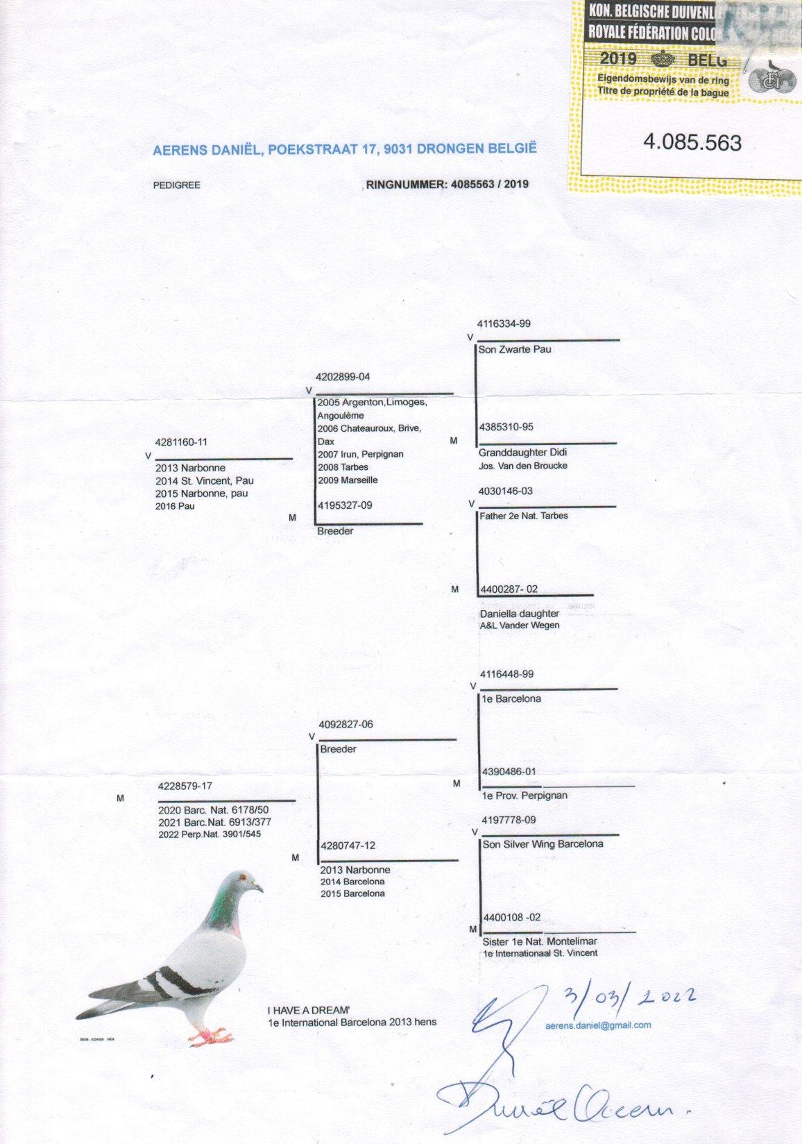pedigree Dochter 50e Nat. Barcelona 6178d. '20