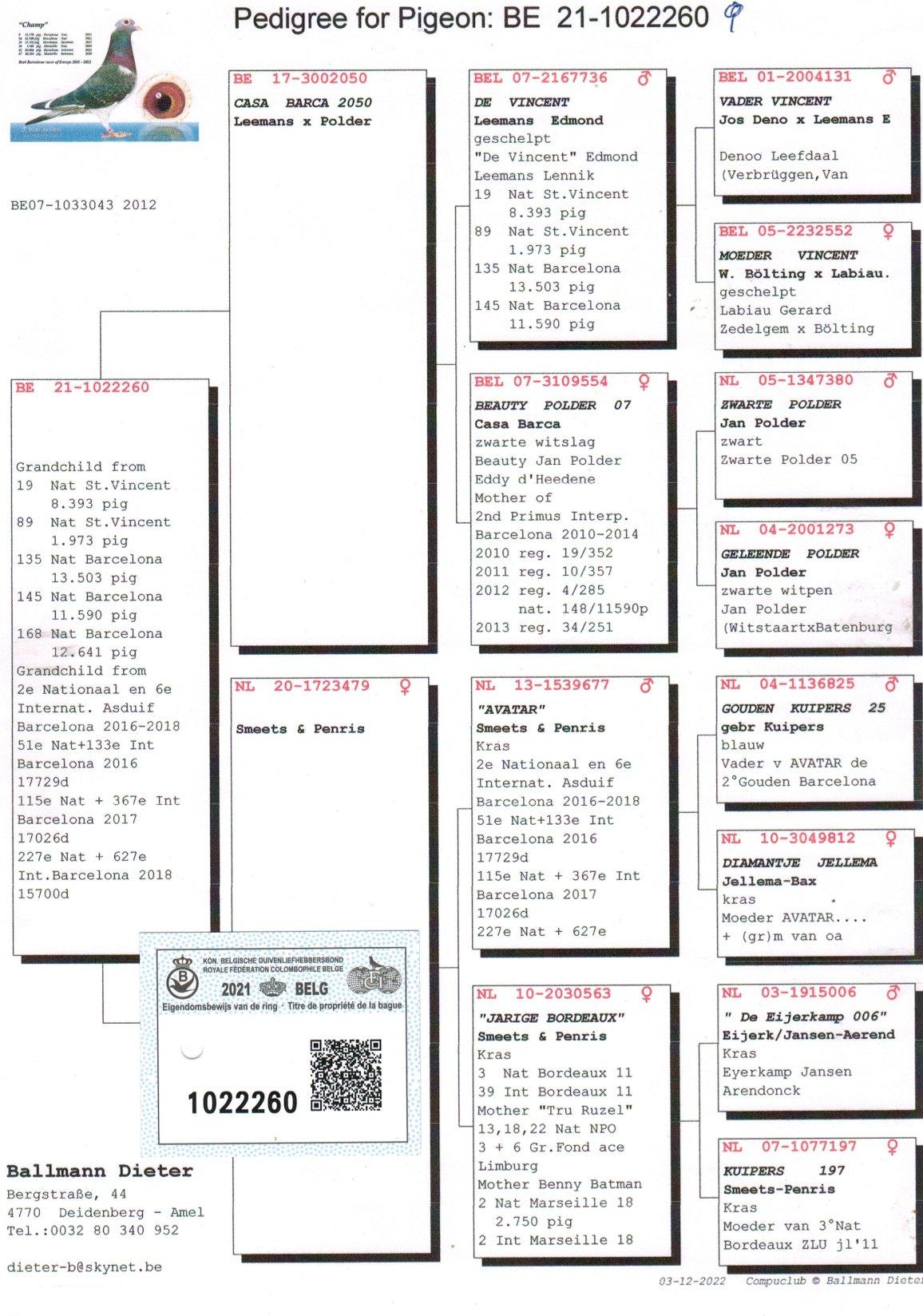 pedigree Kleinkind "De Vincent" (19e Nat. St.-Vincent) & "Avatar" (2e Nat. Asduif Barcelona 2016-2018)