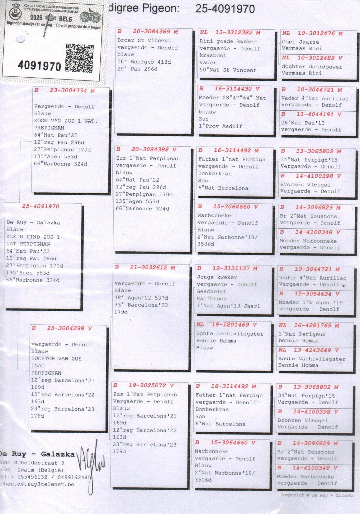 pedigree Inteelt 1e Nat. Perpignan