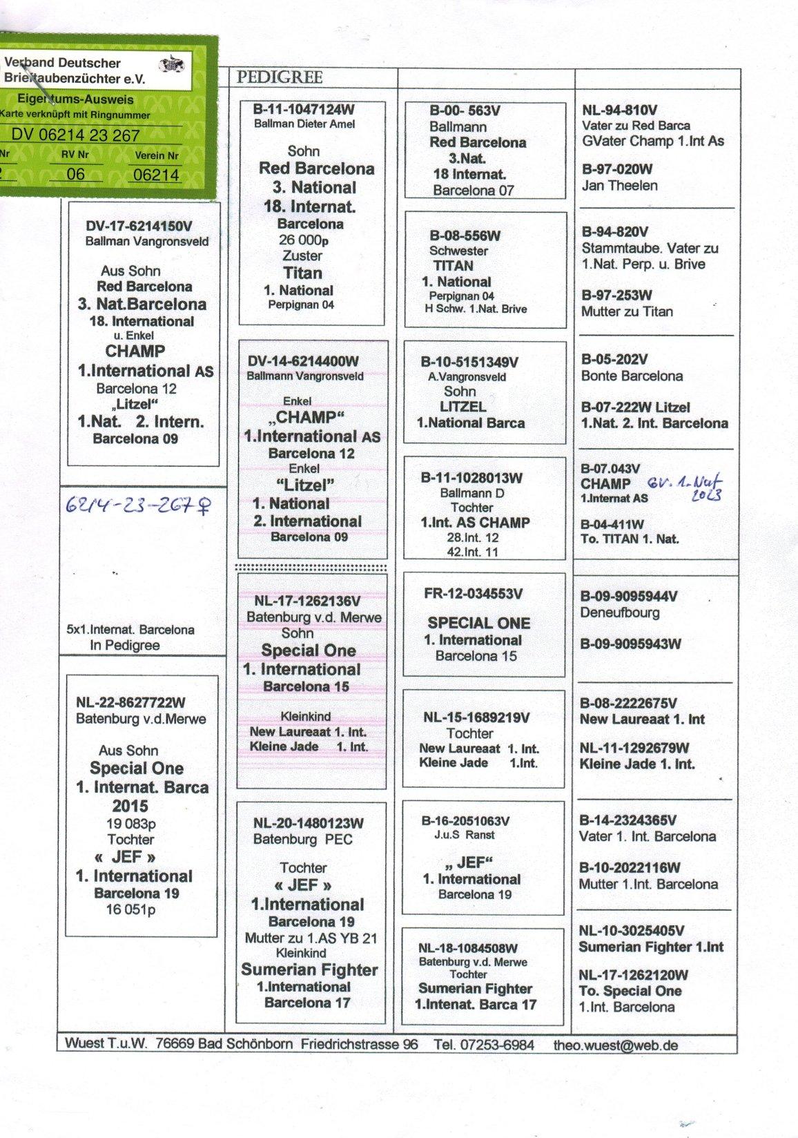 pedigree All International Barcelona winners