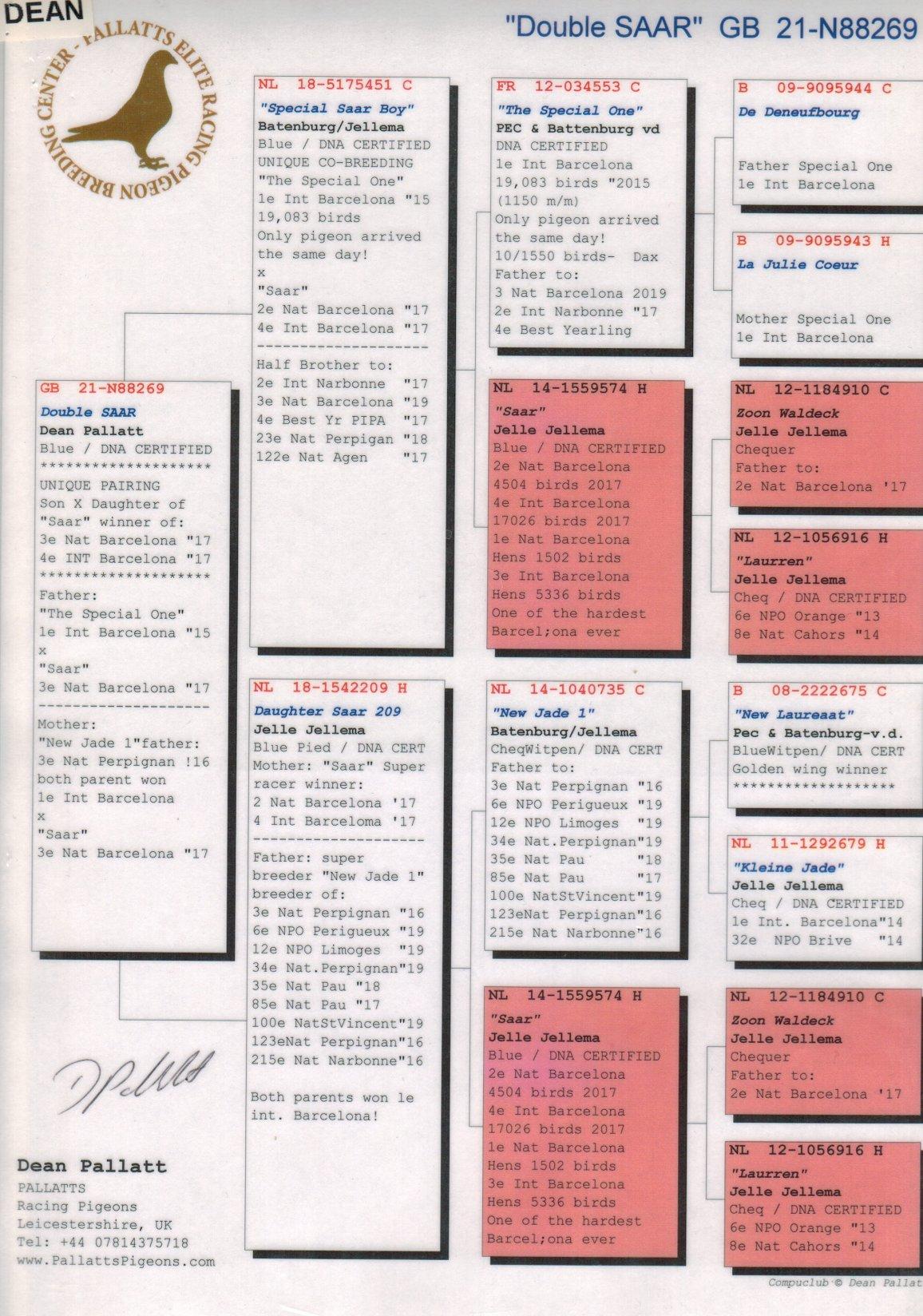 pedigree Inteelt "Saar" : 4e Internationaal Barcelona '17