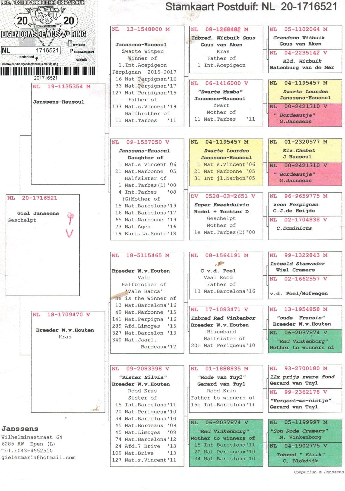 pedigree Kleinkind 1e Internat. Asduif Perpignan 2015-2017