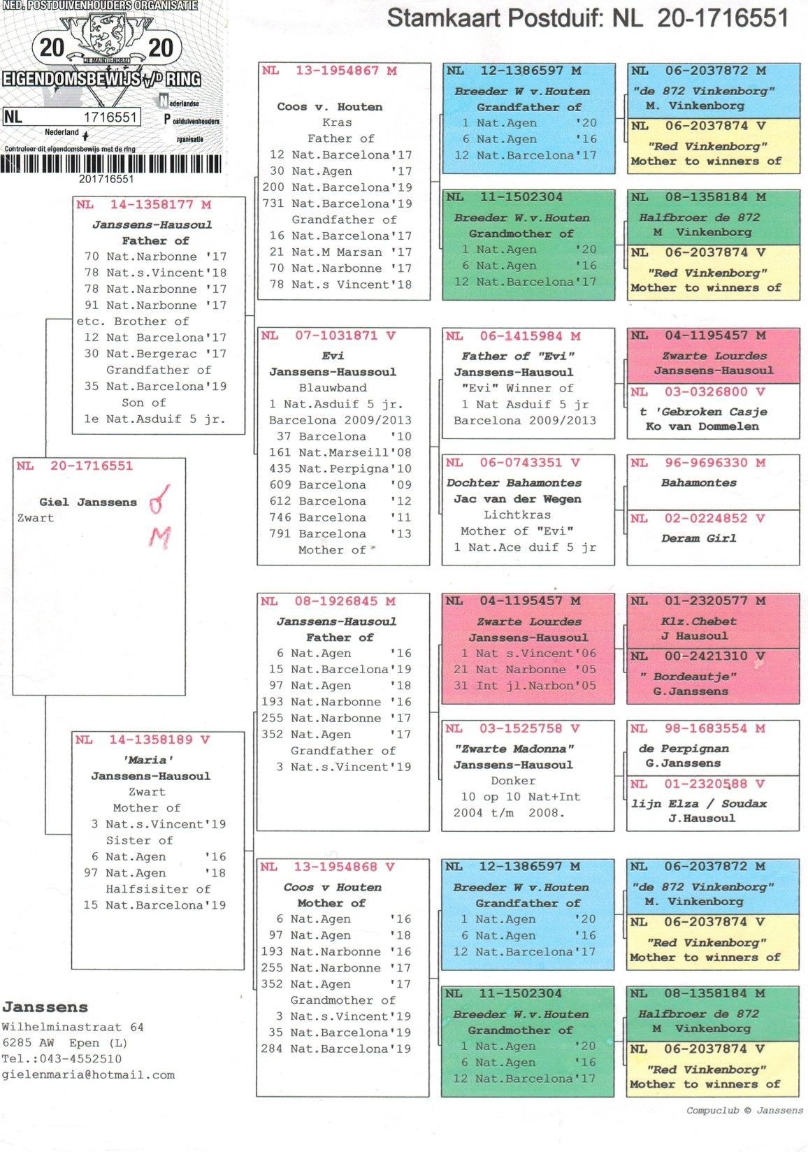 pedigree Kleinkind "Evi", 1e Nat. Asduif Barcelona 2009-2013