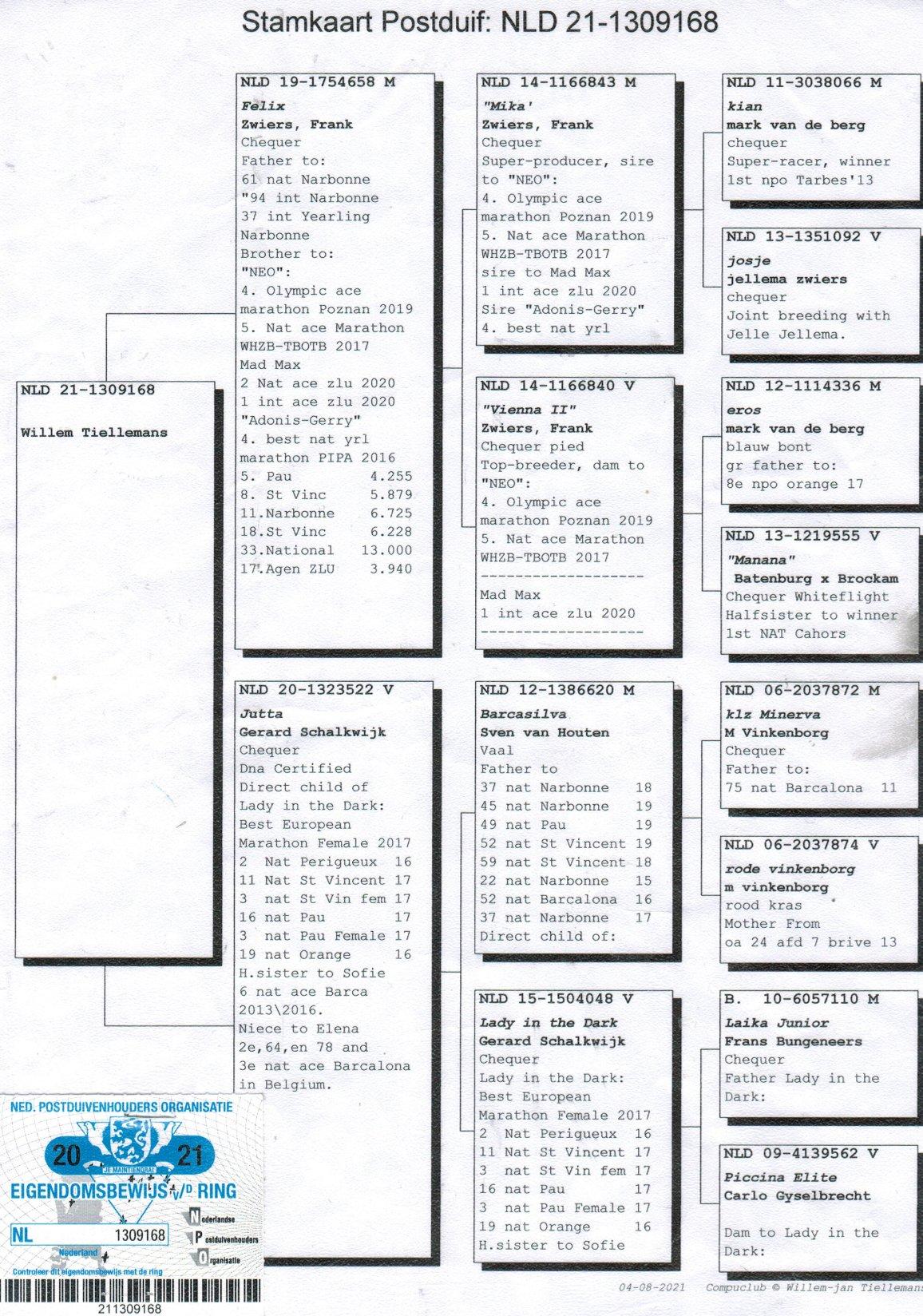 pedigree Kleindochter ‘Lady in the Dark’ (Gerard Schalkwijk), 1e Europese Marathon Asduif (Duivinnen) 2017