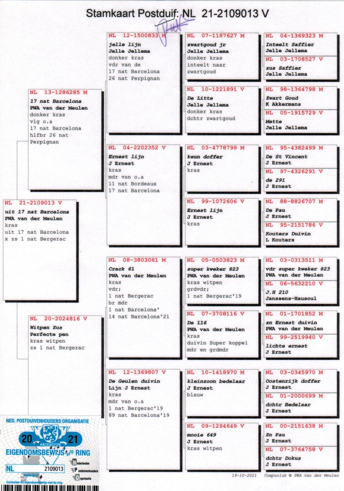 pedigree Kind uit 17e Nat. Barcelona 