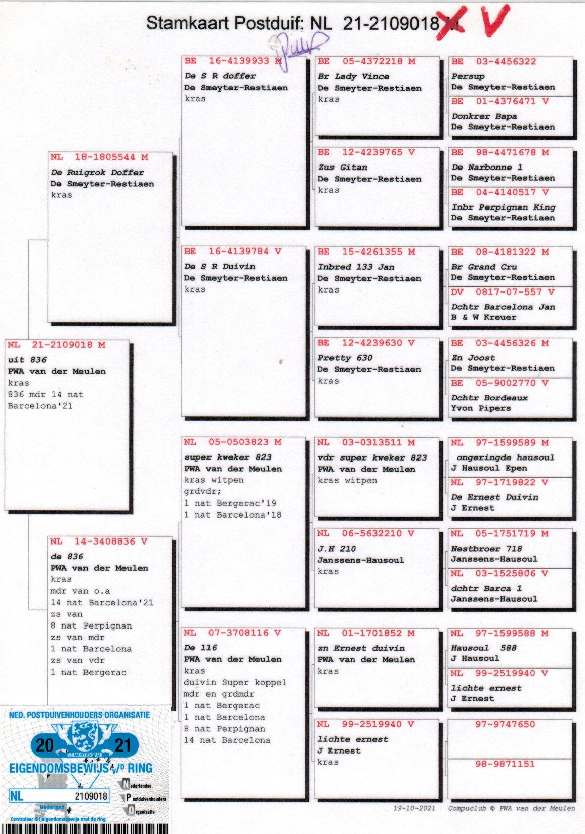 pedigree Halfzus 14e Nat. Barcelona