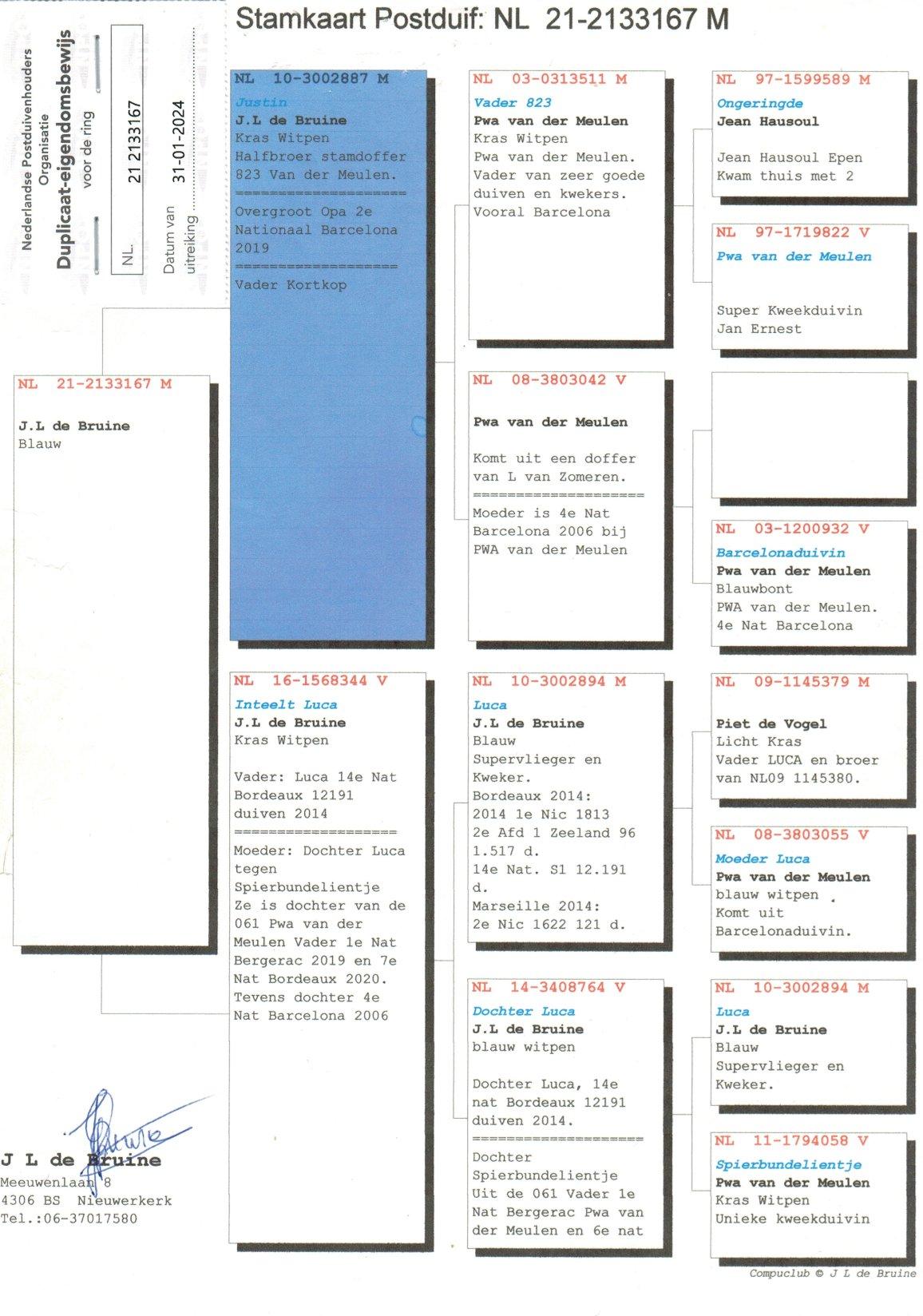 pedigree Kleinkind "Luca", 14e Nat. Bordeaux 12191d.