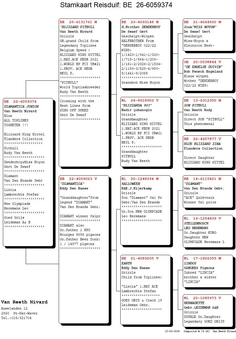pedigree "Diamantica Junior"