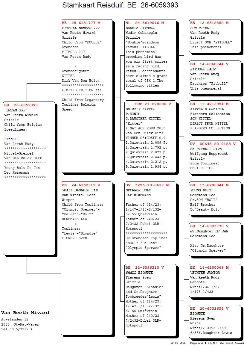pedigree "Dream 393"