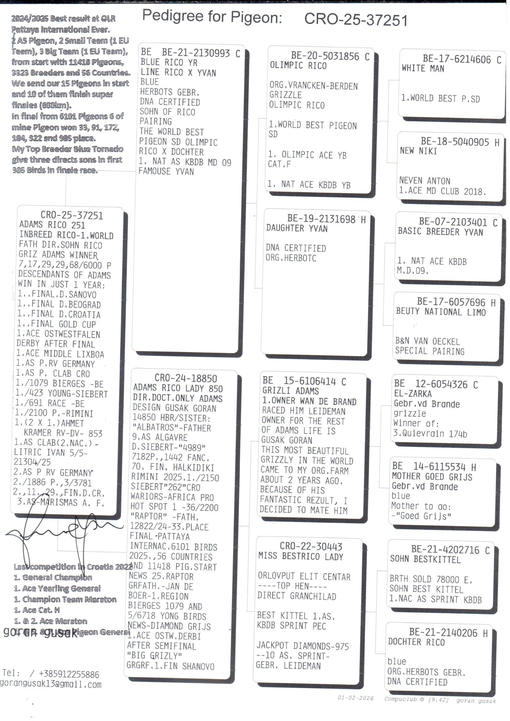 pedigree Adams Rico 251