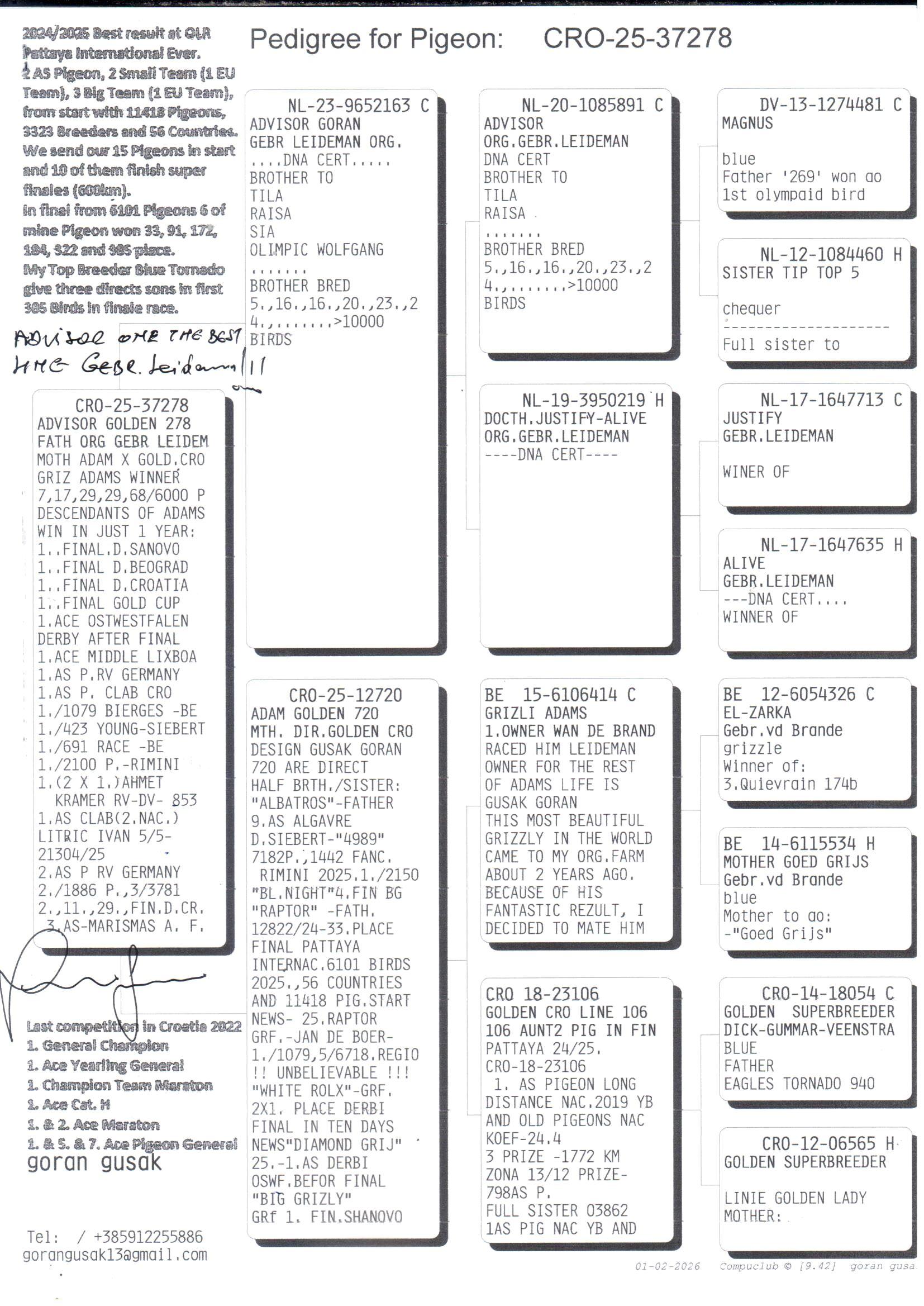 pedigree Advisor Golden 278