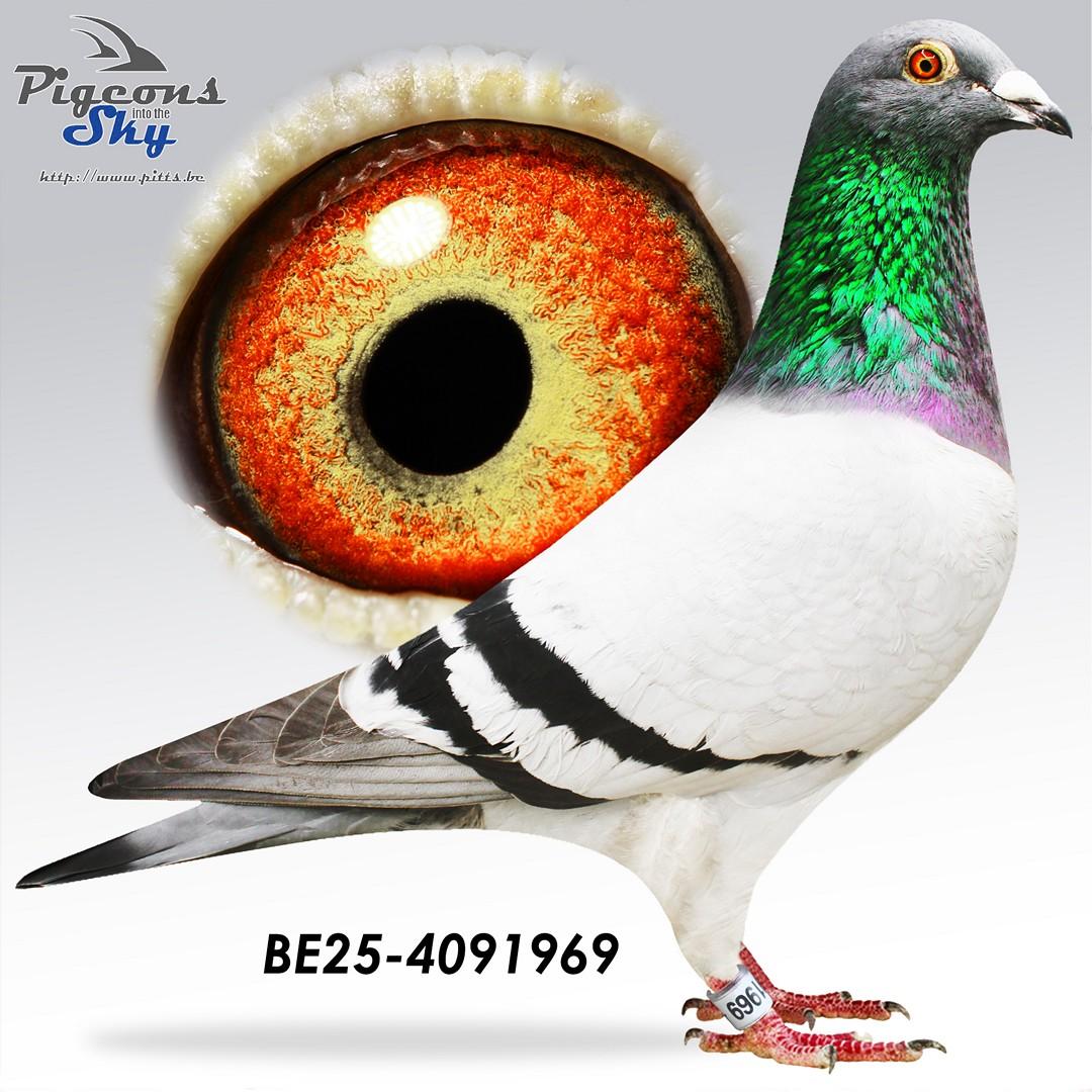 Inteelt 1e Nat. Perpignan