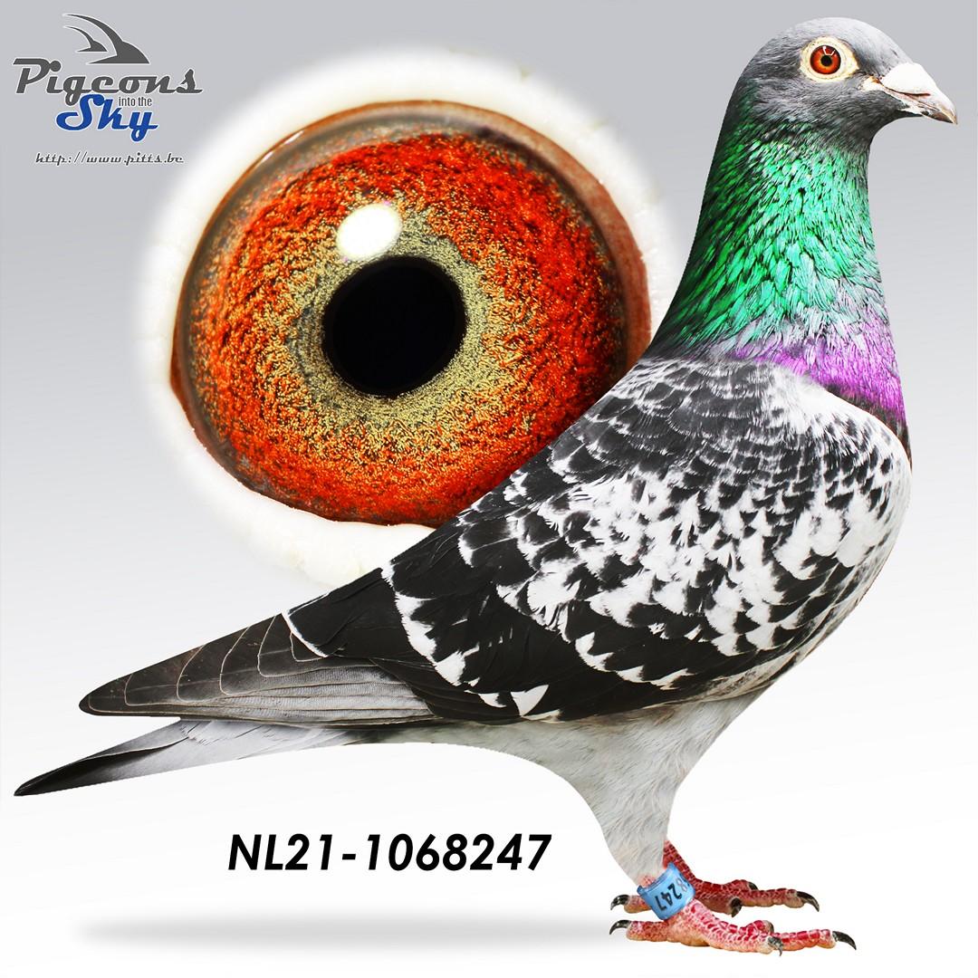 Zoon "Barca Max", 10e Nat. Barcelona '21