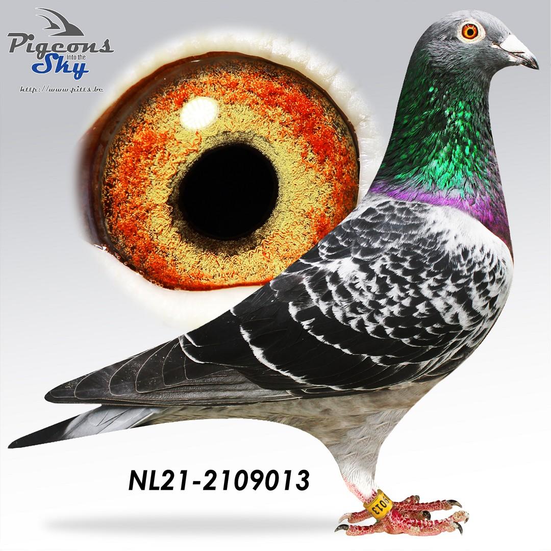 Kind uit 17e Nat. Barcelona 