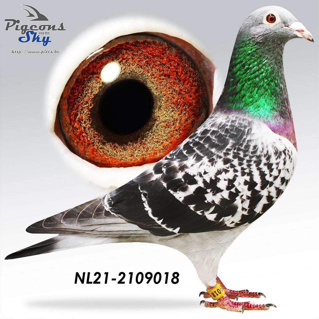 Halfzus 14e Nat. Barcelona