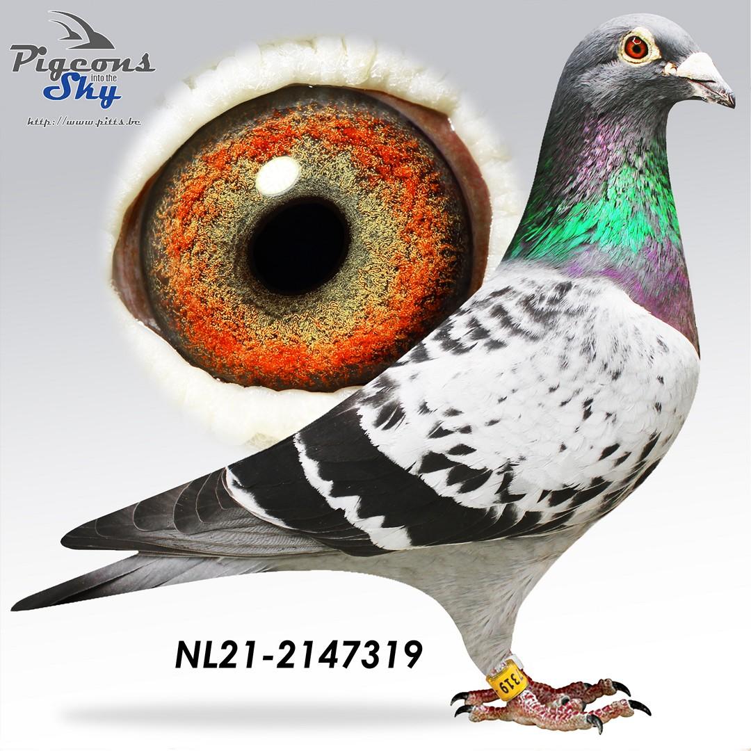 Kleinkind 2e Nat. Barcelona & 8e Internat. Barcelona