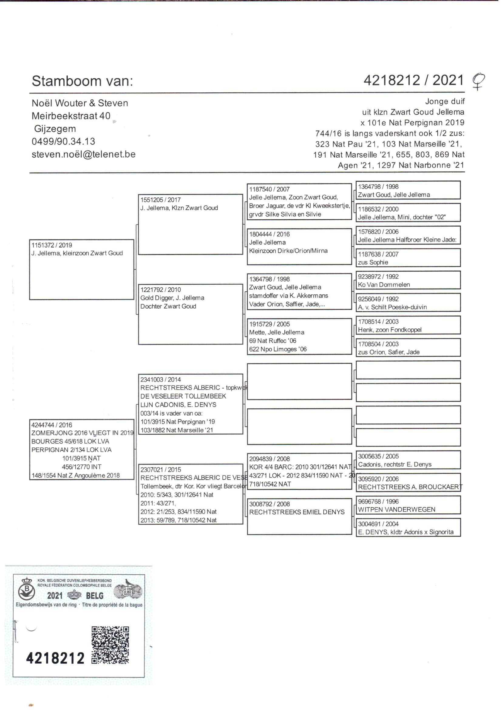 pedigree Lijn Zwart Goud (Jellema) x Lijn “Cadonis” (Erik Denys)