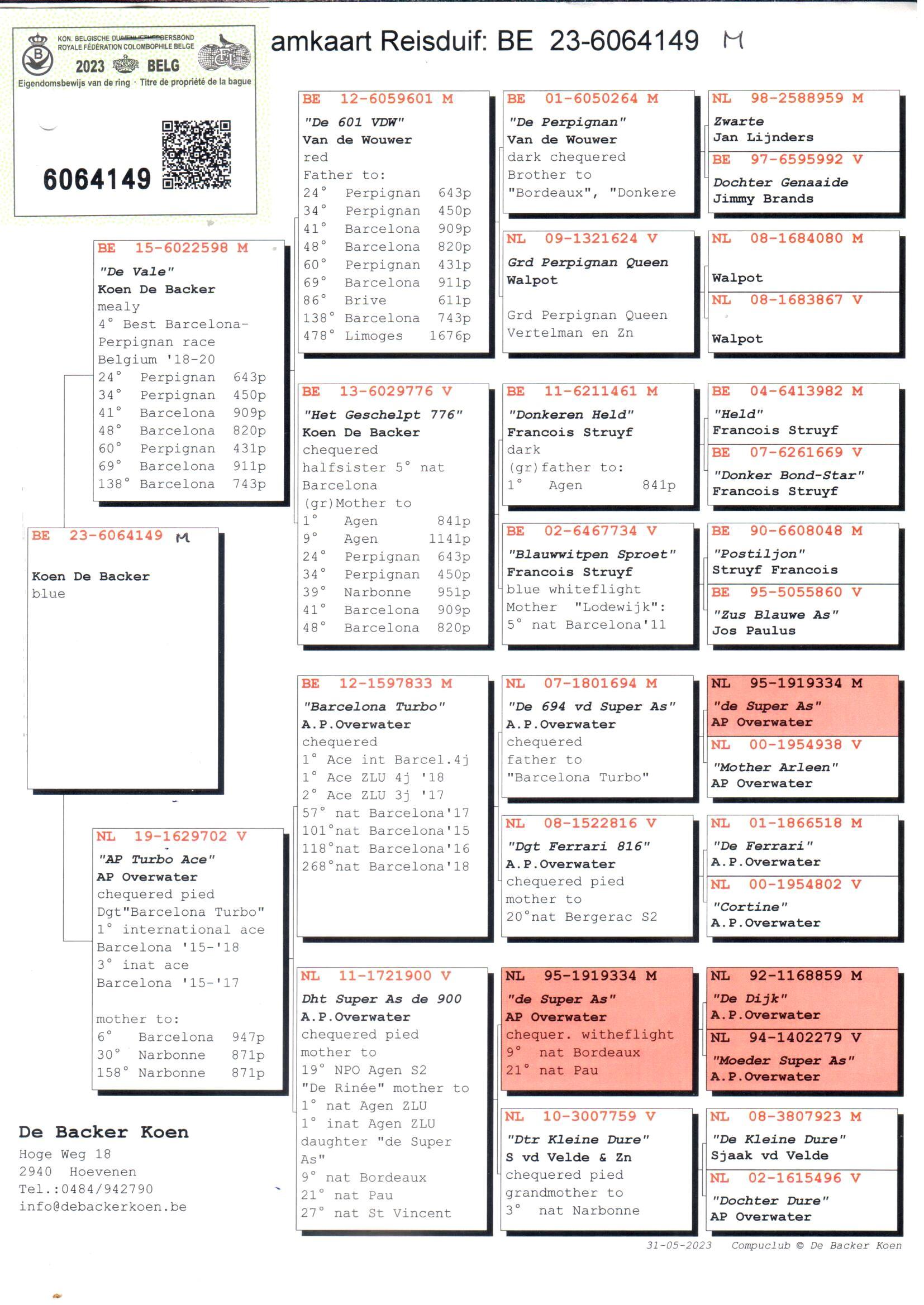pedigree Zoon 4. Beste Barcelona-Perpignan Duif Van België 2018-2020
