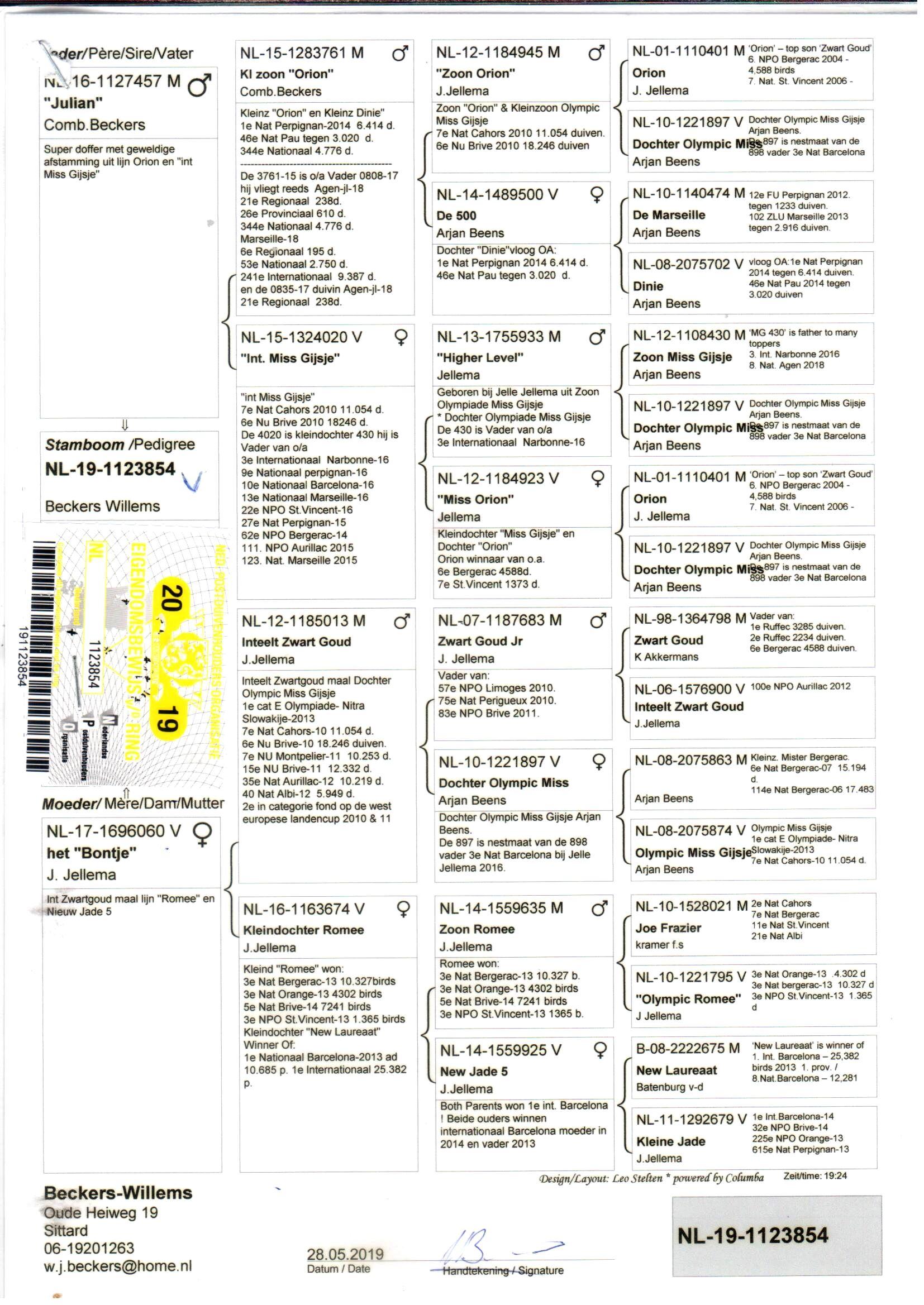 pedigree Lijn “Orion” , “Kleine Jade”, “Zwart Goud” , “Romee” (Jellema) & “Miss Gijsje” (Arjan Beens)