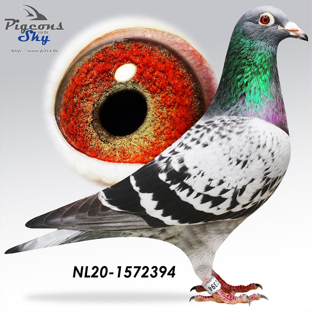 Kleindochter 39. Nationaal Narbonne