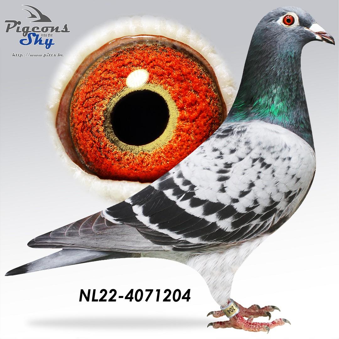 Arjan Beens x Jelle Jellema