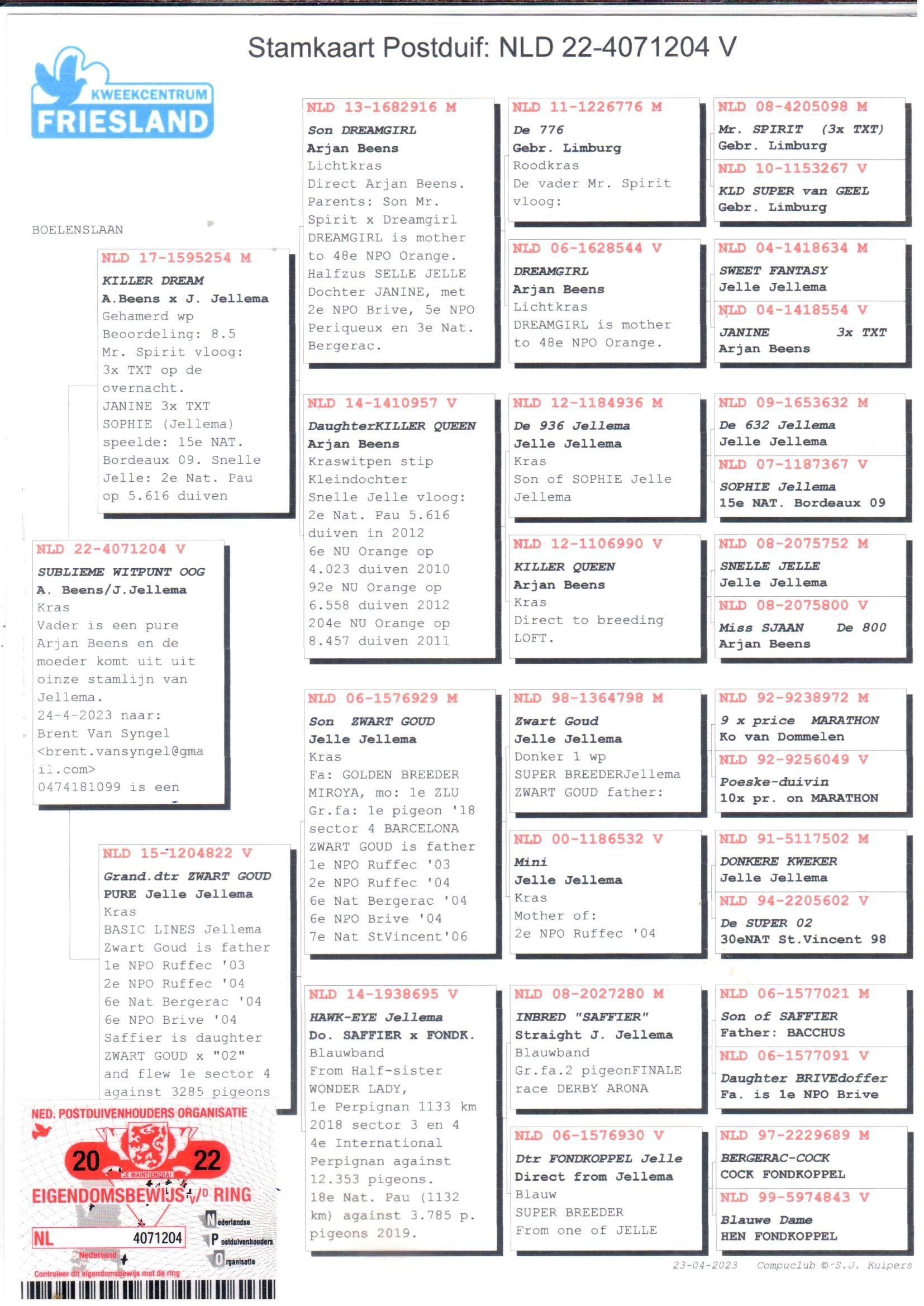 pedigree Arjan Beens x Jelle Jellema