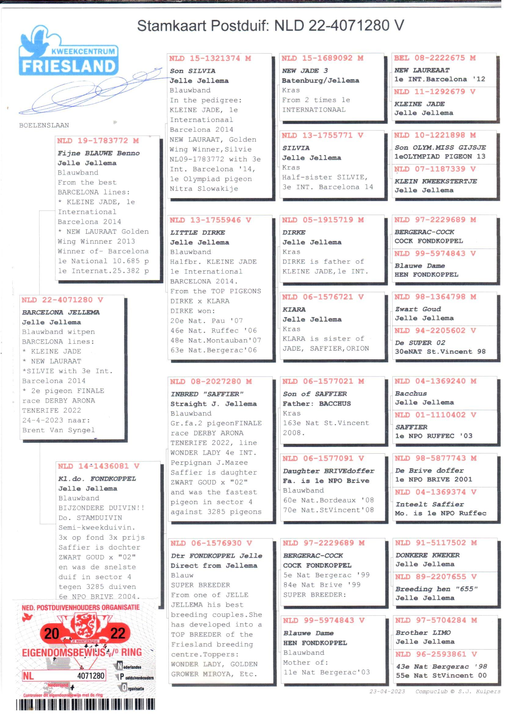 pedigree Lijn “Kleine Jade” , “New Laureaat, “New Silvie” (100% Jelle Jellema)