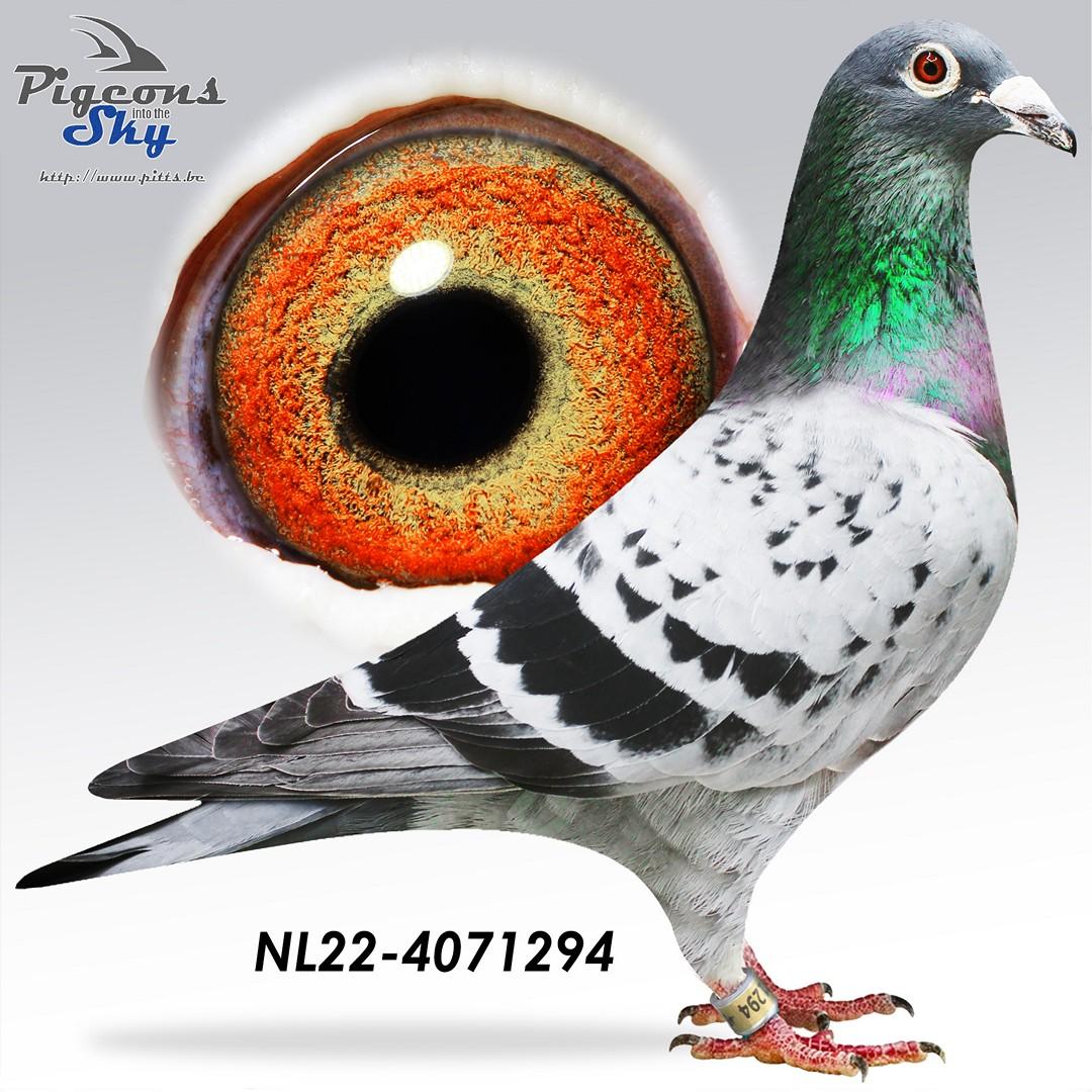 Uit De lijnen “Orion”, “Saffier”, “Jade”, “Zwart Goud” (Jelle Jellema)