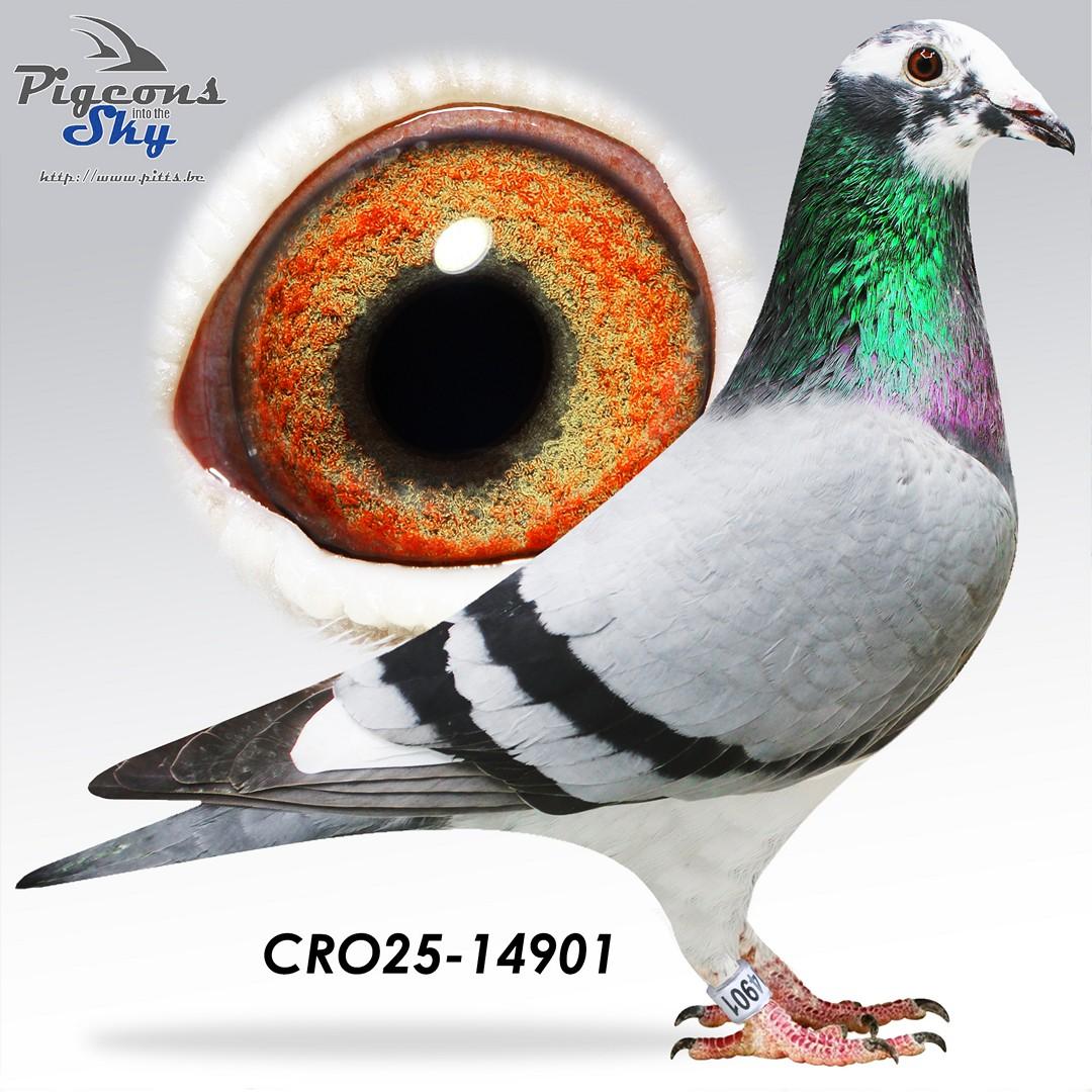 HYPEREXCLUSIEF! Dream 901 - Inteelt Grizli Adams!