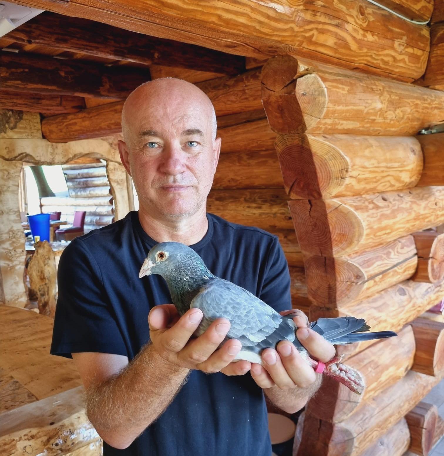 Auction: Goran Gusak (deel 2)