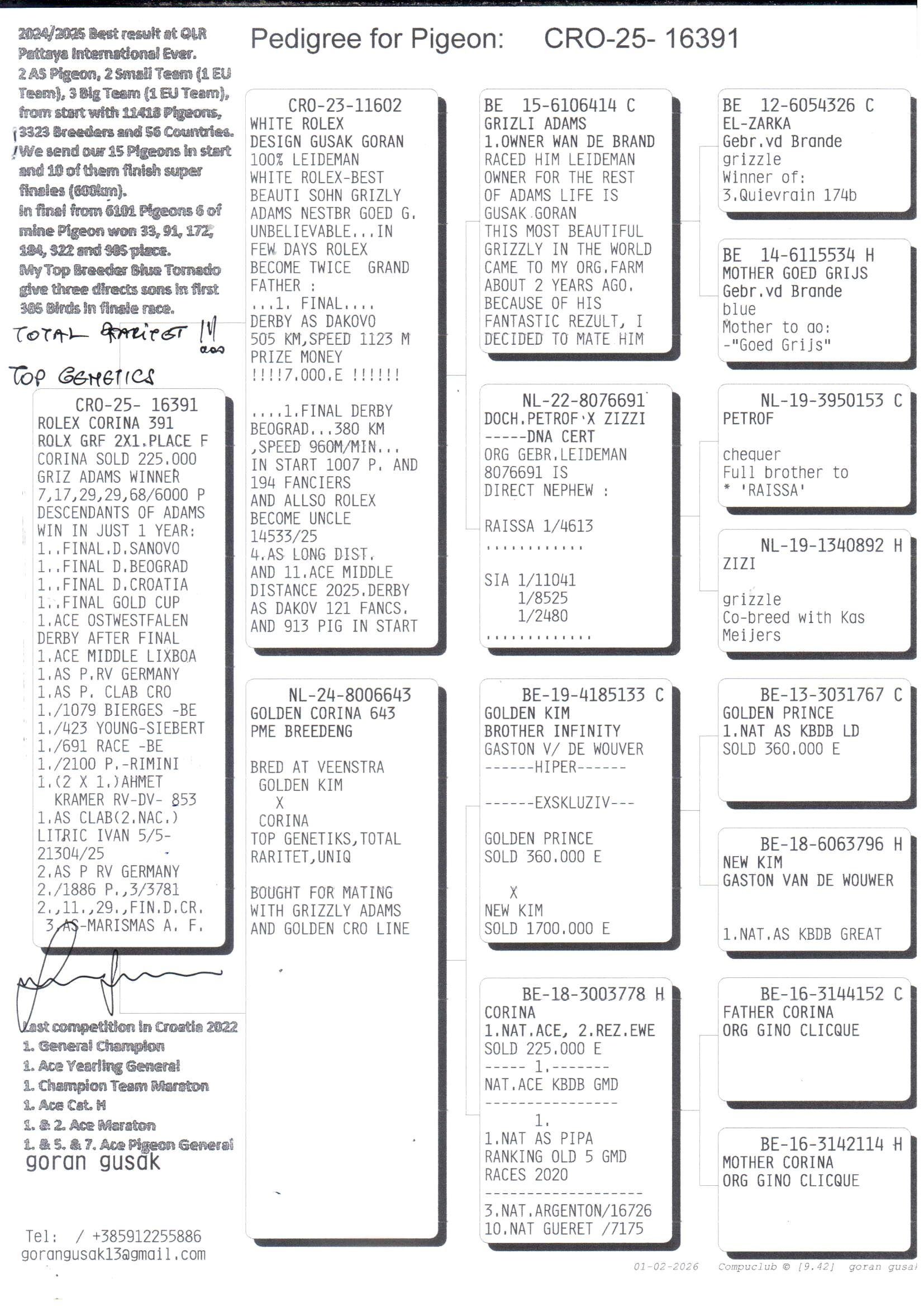 pedigree Rolex Corina 391