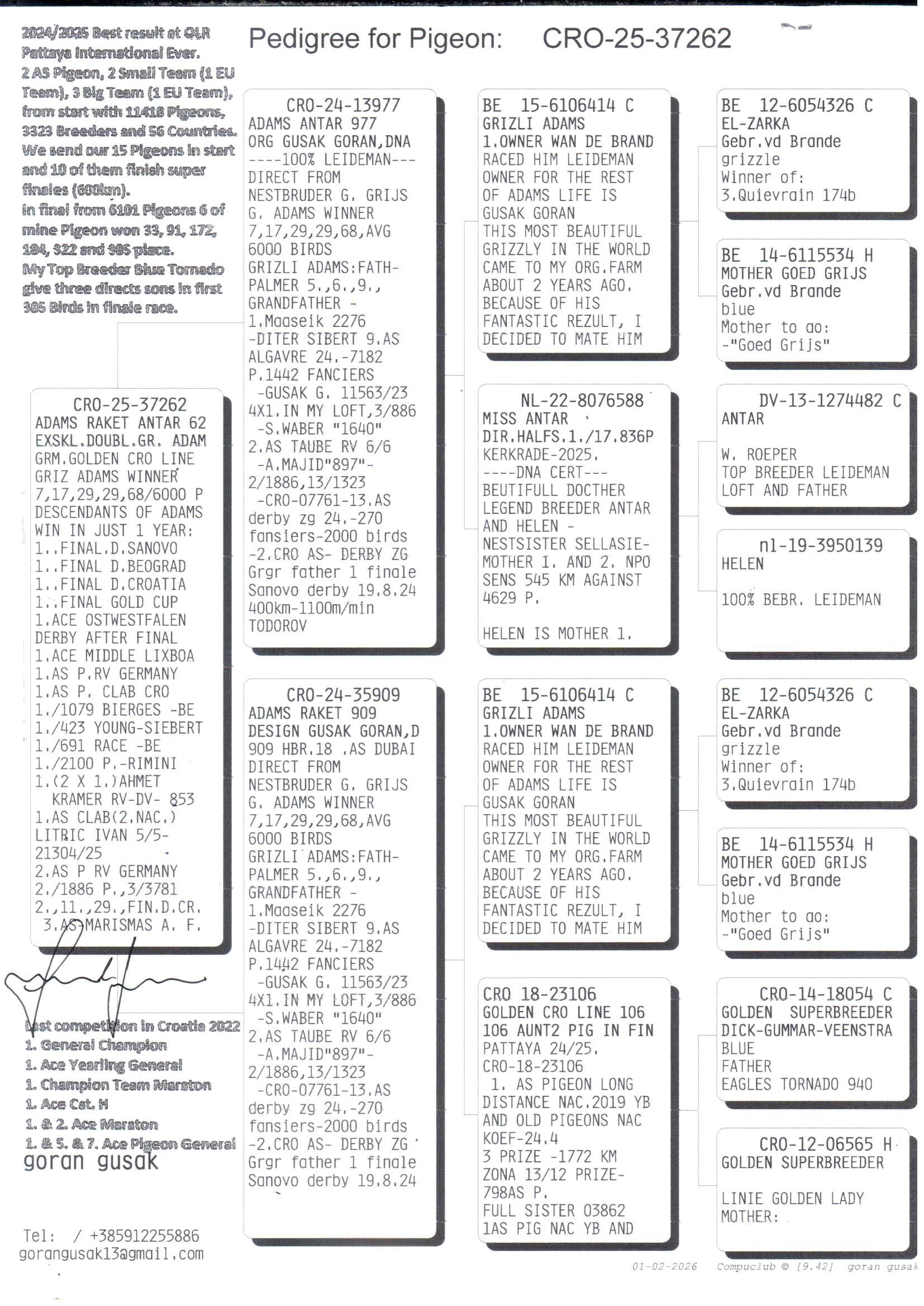 pedigree Adams Raket Antar 62