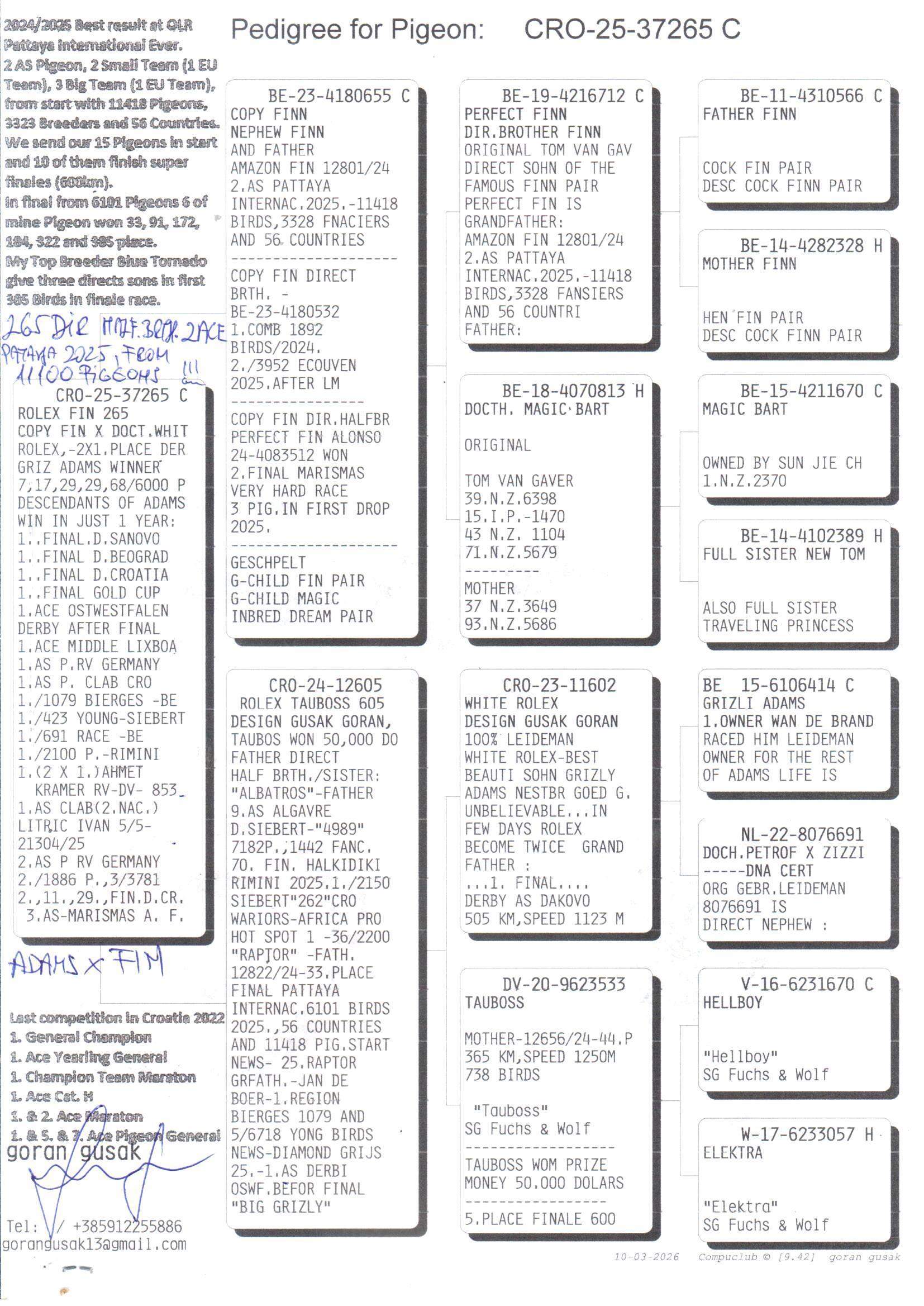 pedigree Halfbroer 2e Asduif Pattaya 2025 !!