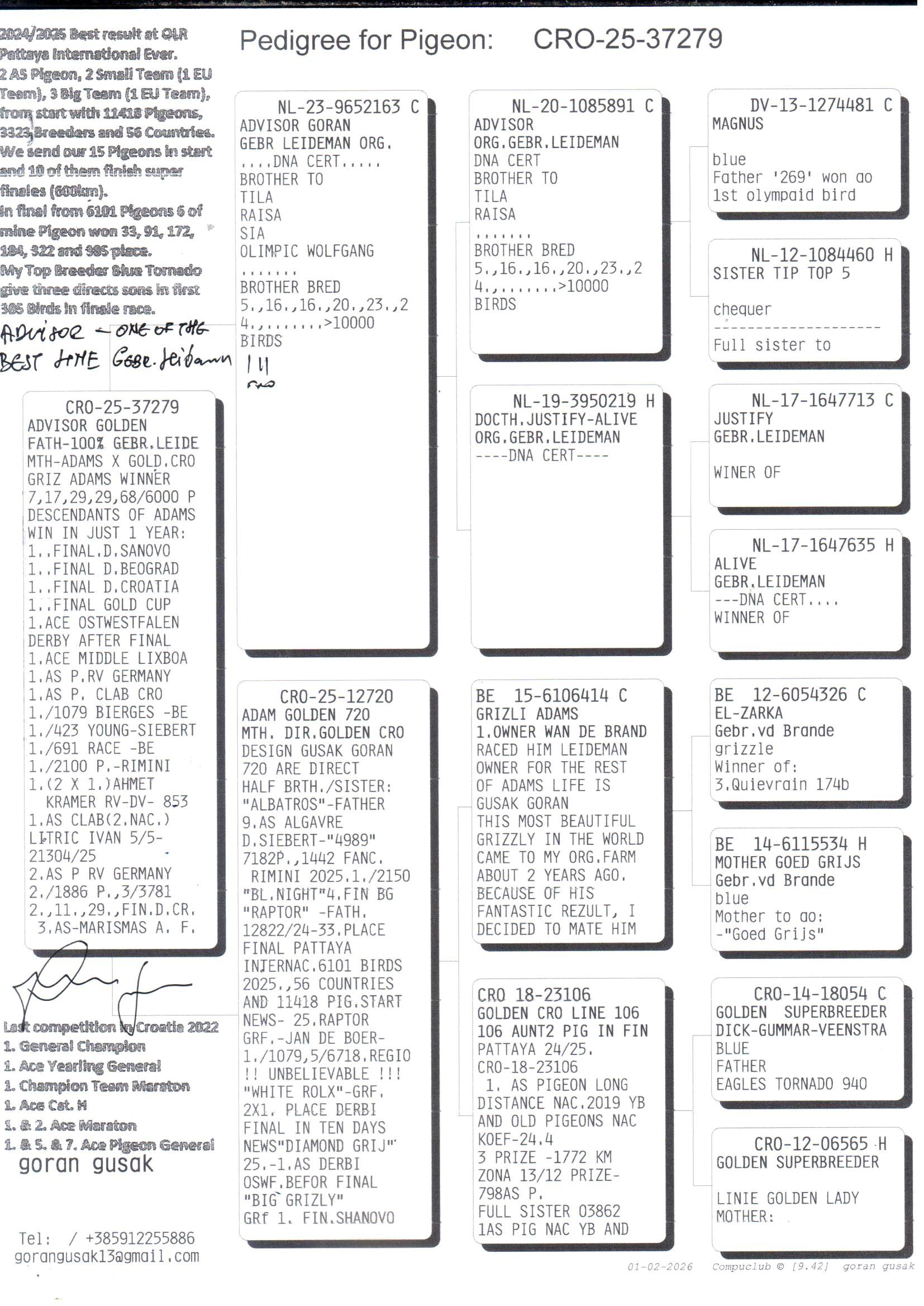 pedigree Advisor Golden 279