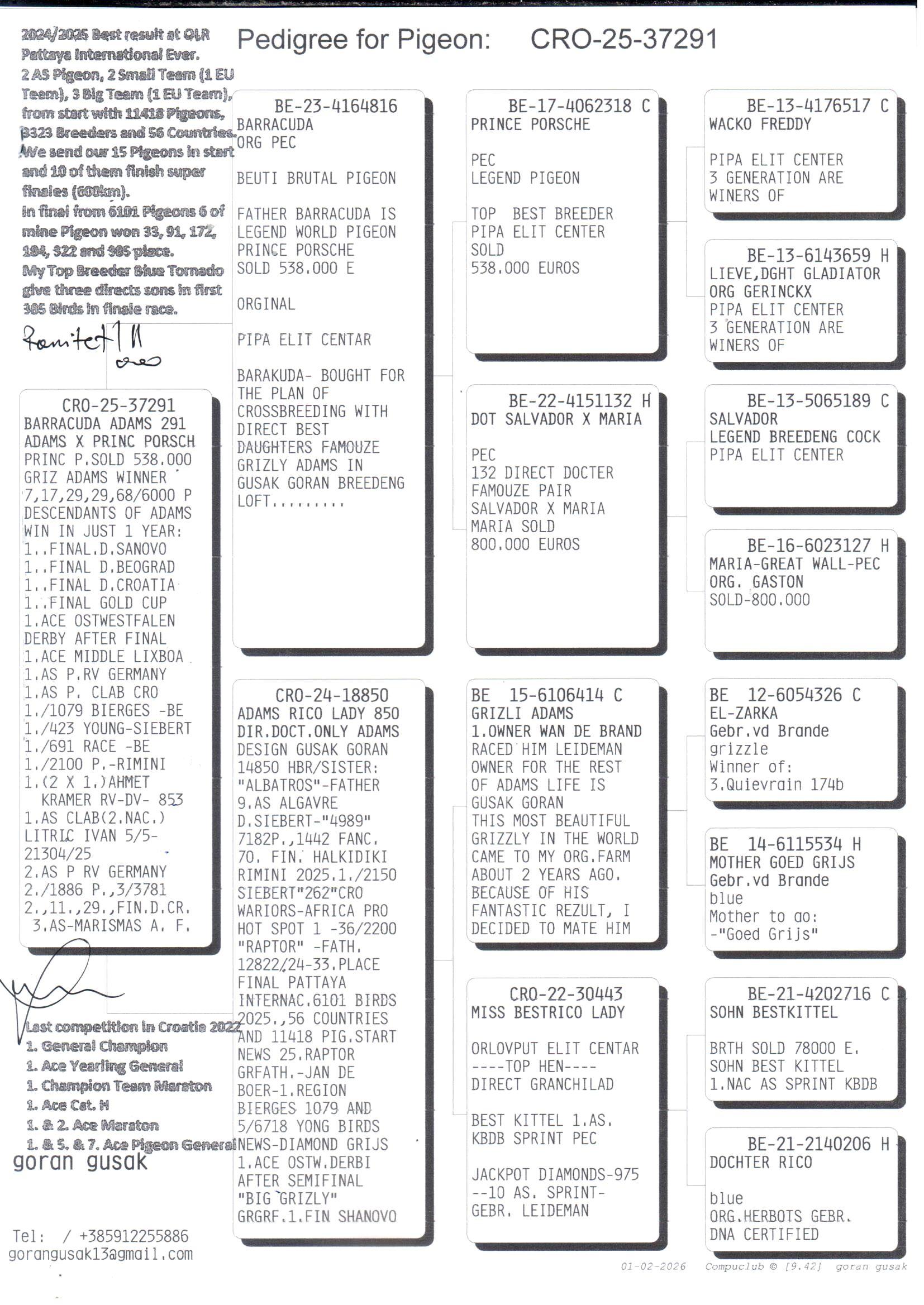 pedigree Grizli Adams meets Porsche-line