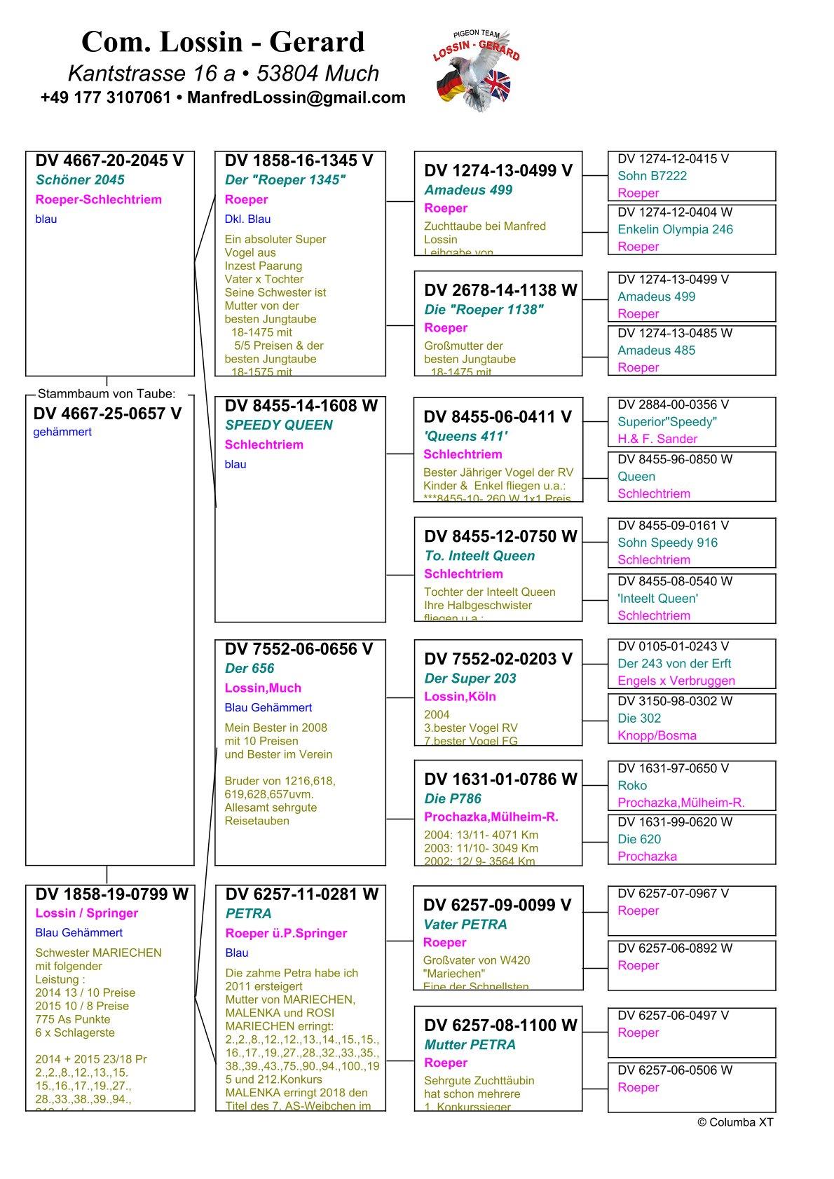 pedigree Lijn Mariechen,  in 2014 : 10/13 prijs & 2015 : 8/10 prijs