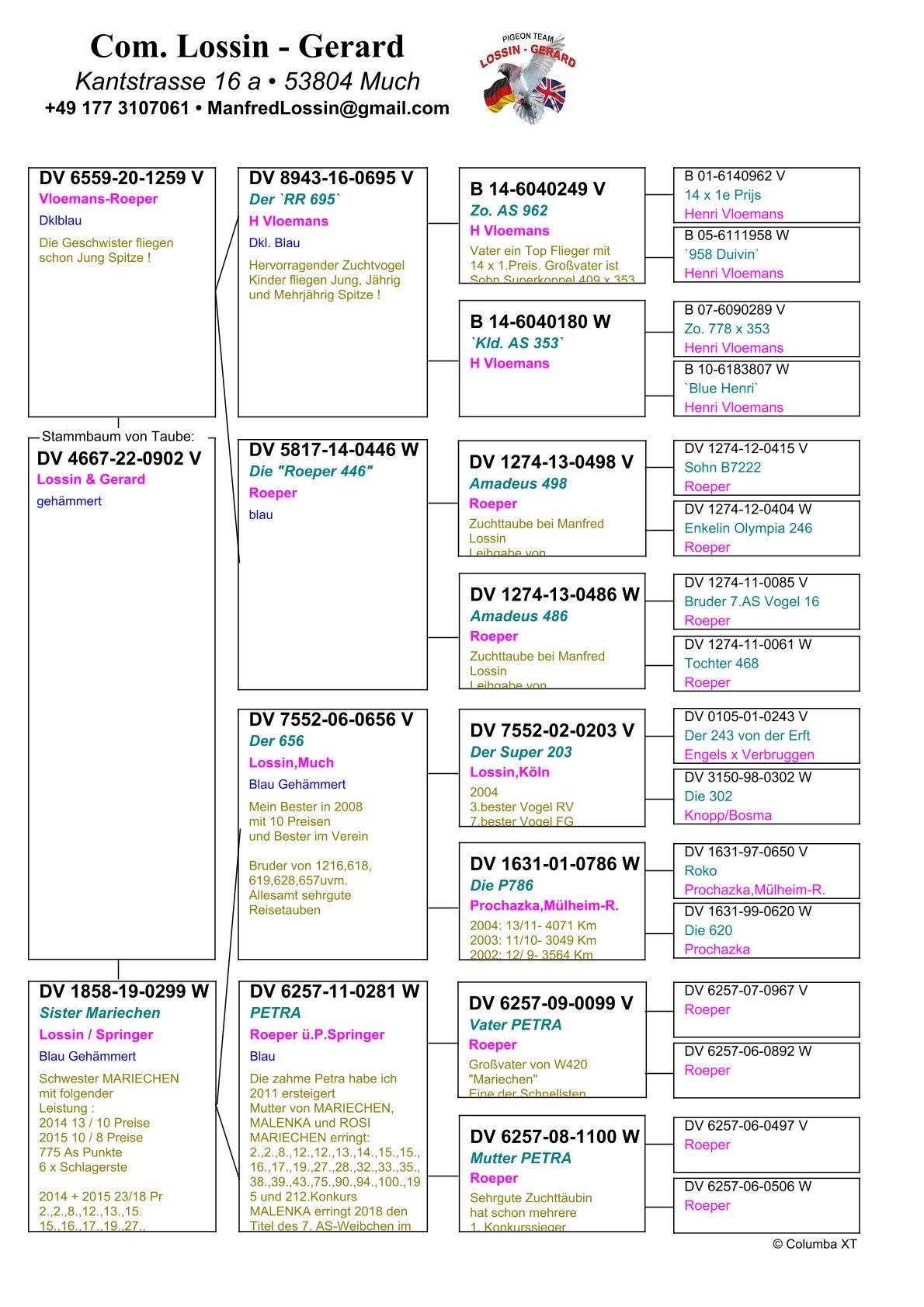 pedigree Lijn Mariechen,  in 2014 : 10/13 prijs & 2015 : 8/10 prijs