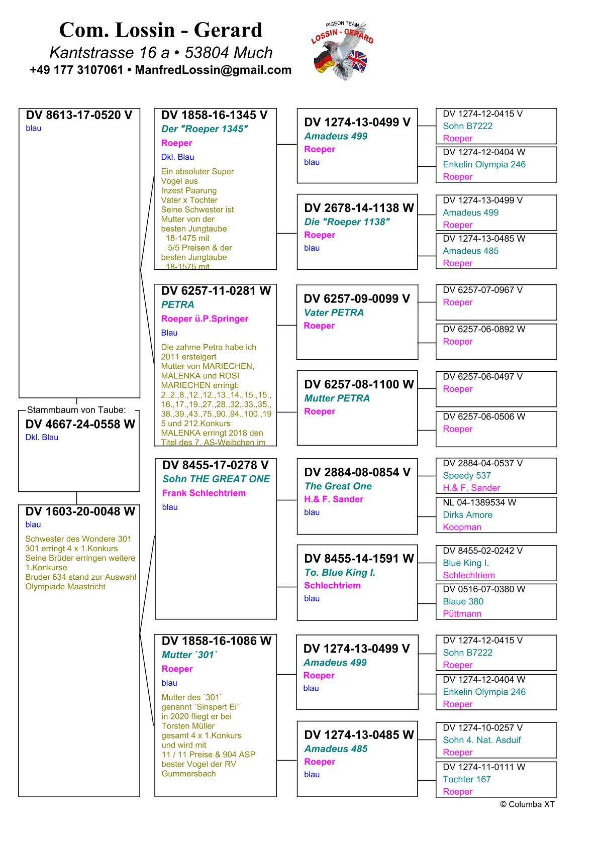 pedigree Lijn Mariechen, in 2014 : 10/13 prijs & 2015 : 8/10 prijs